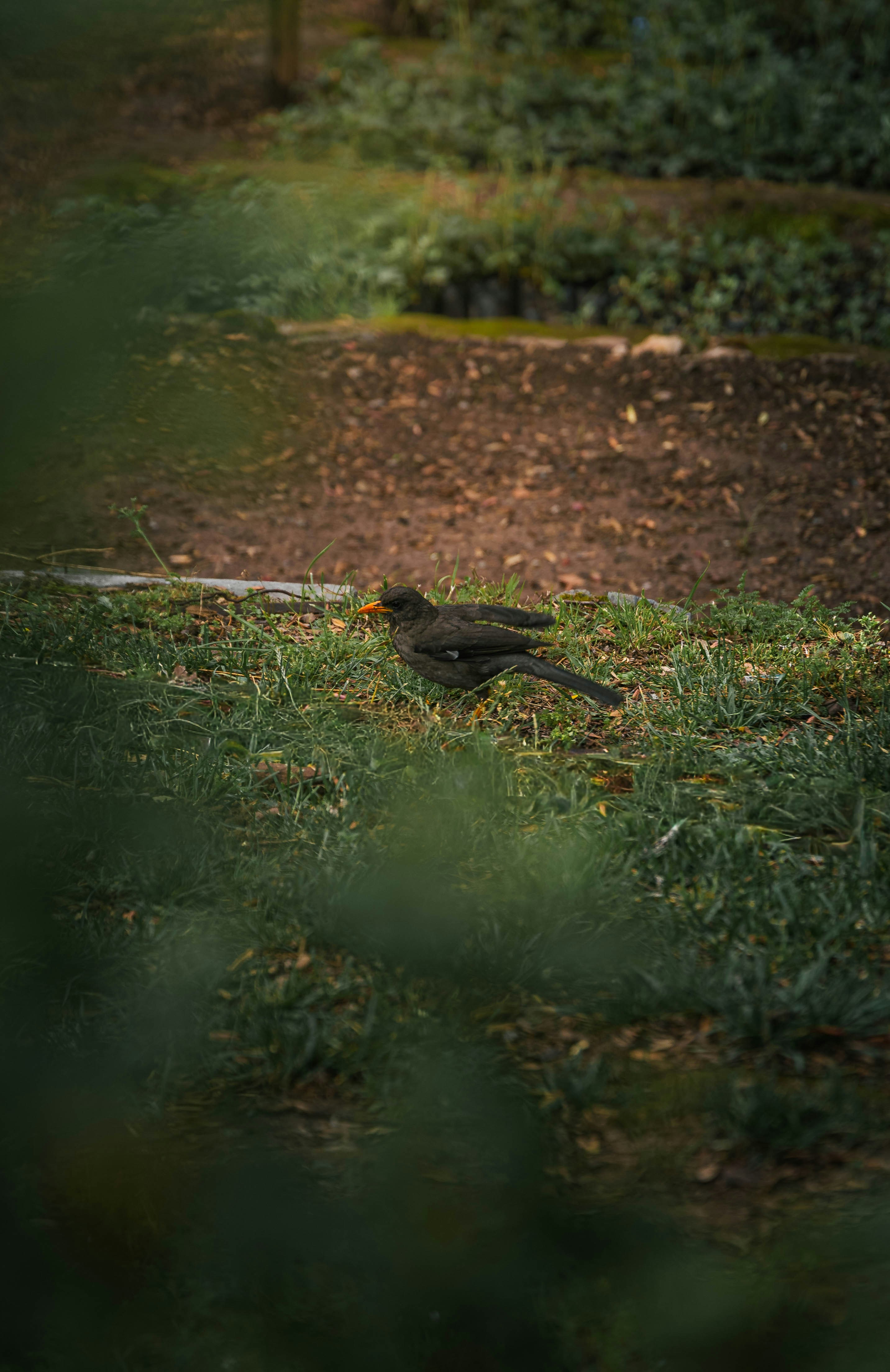 Photo by carbonmonoxide