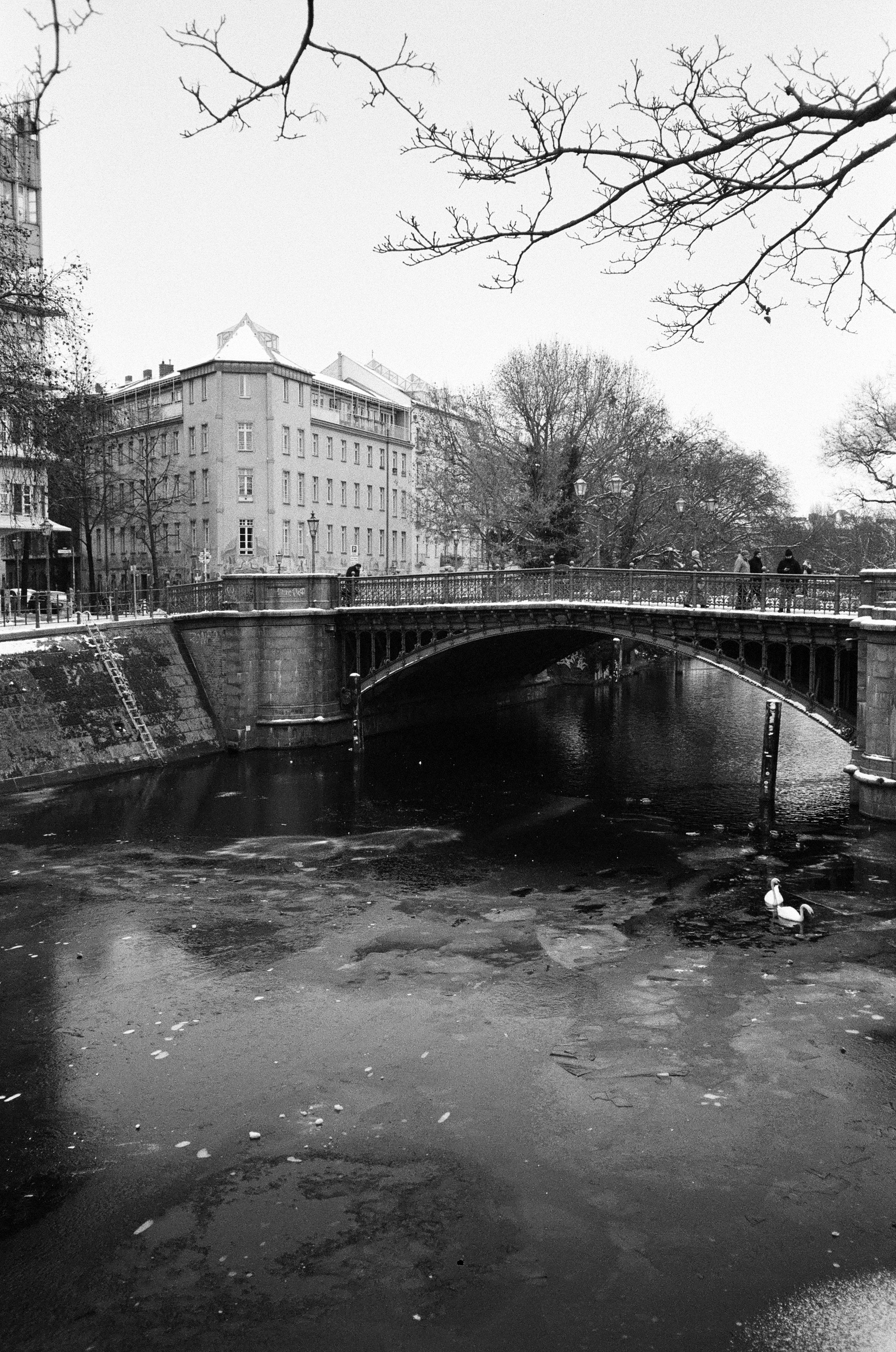 Photo by nikita_pishchugin