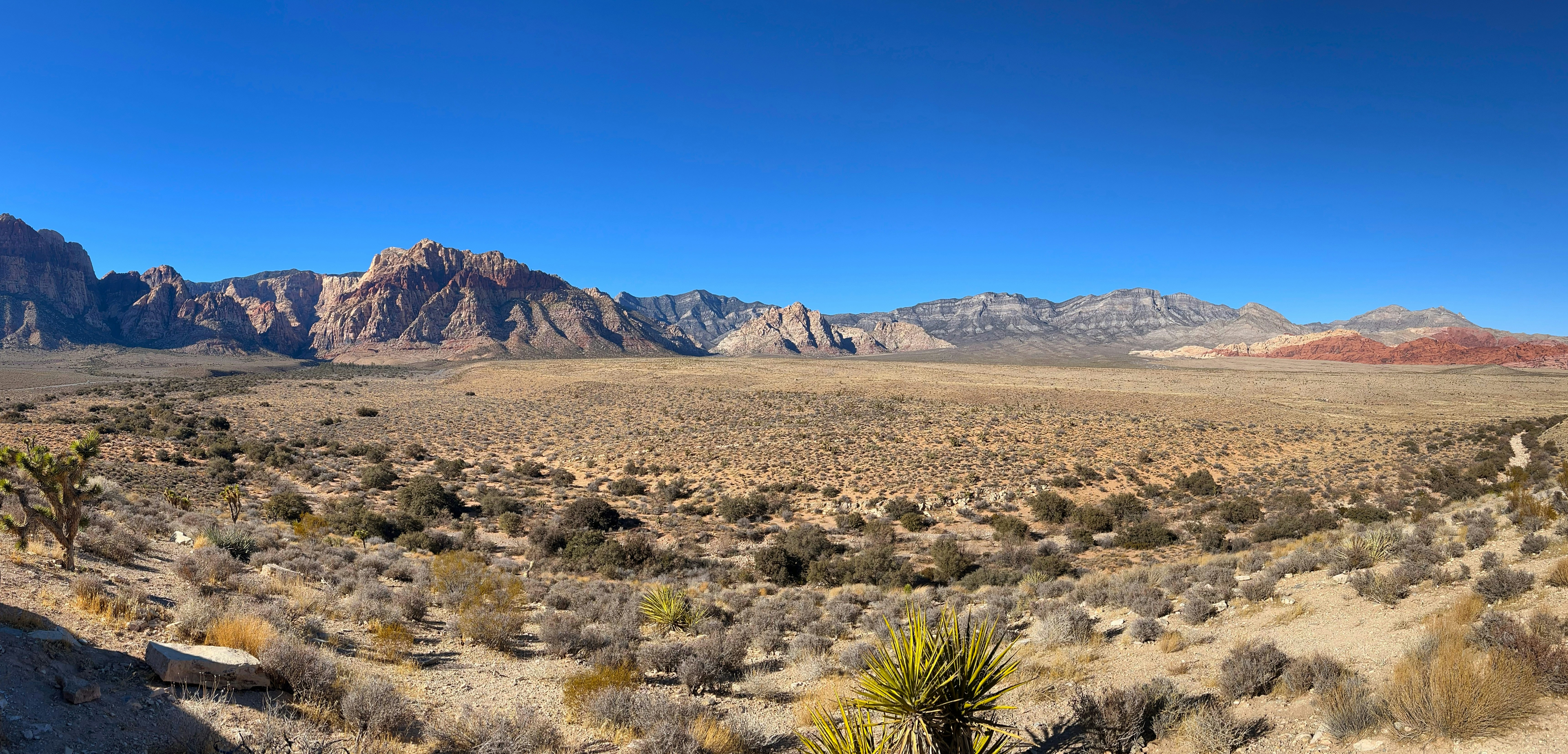 Vast desert landscape with mountains under a clear blue sky.