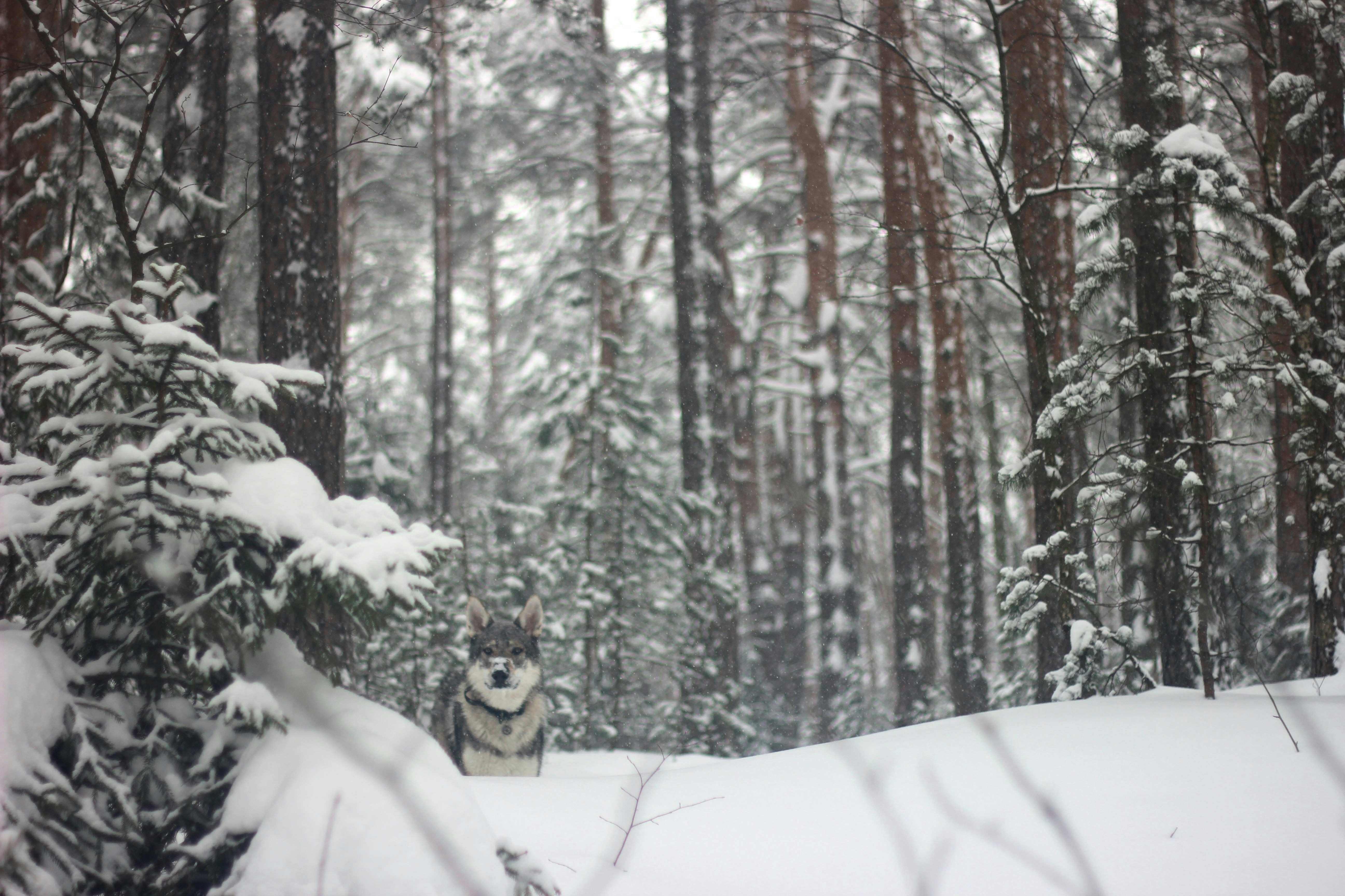 Photo by marakuabanana