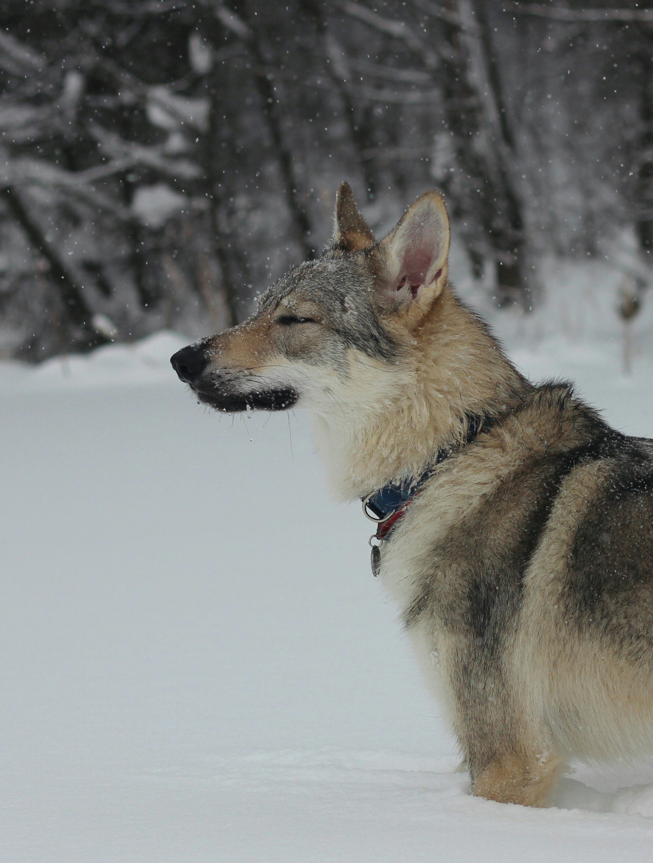 Photo by marakuabanana