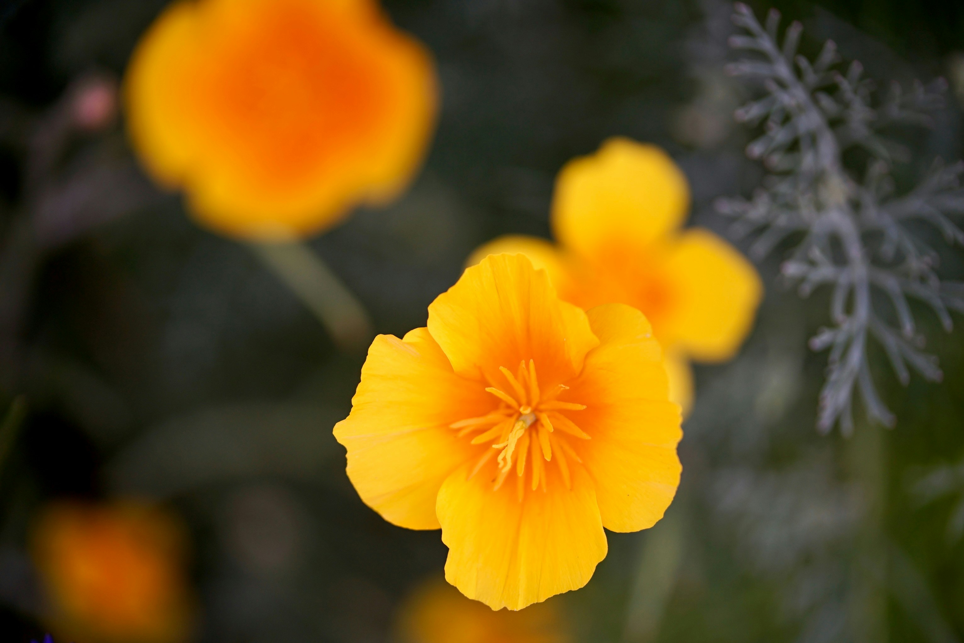 Photo by hannahslensphotography