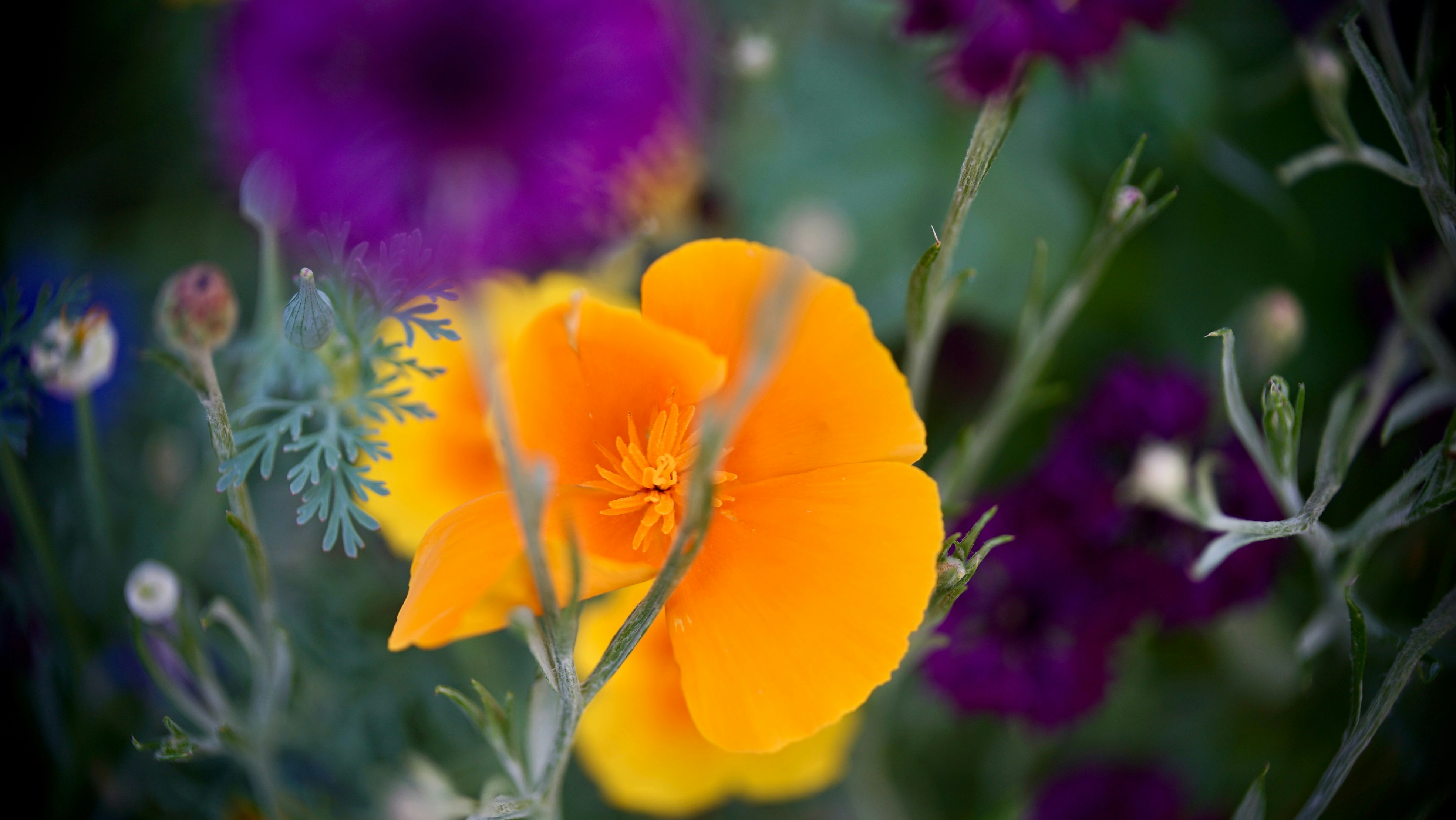 Photo by hannahslensphotography