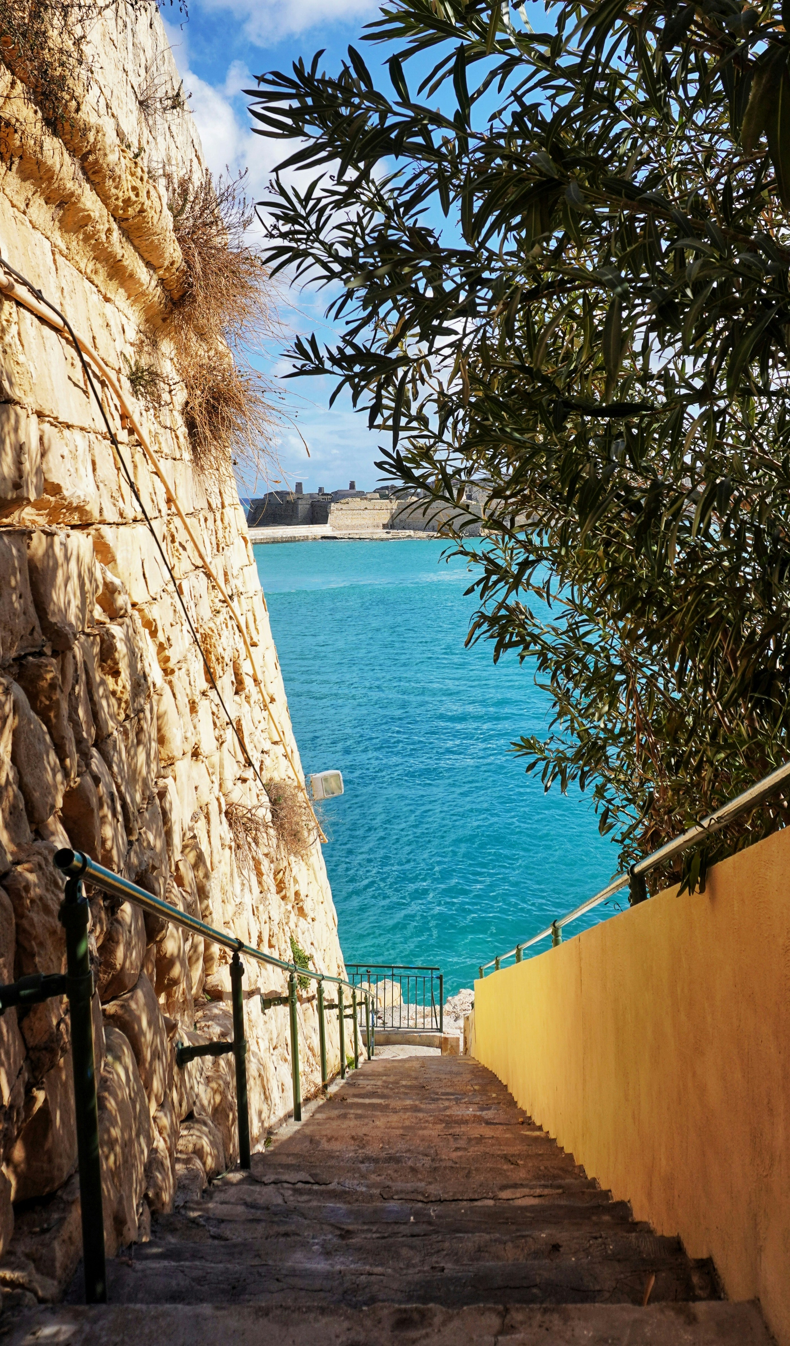 Photo by ioana_roxanna_b