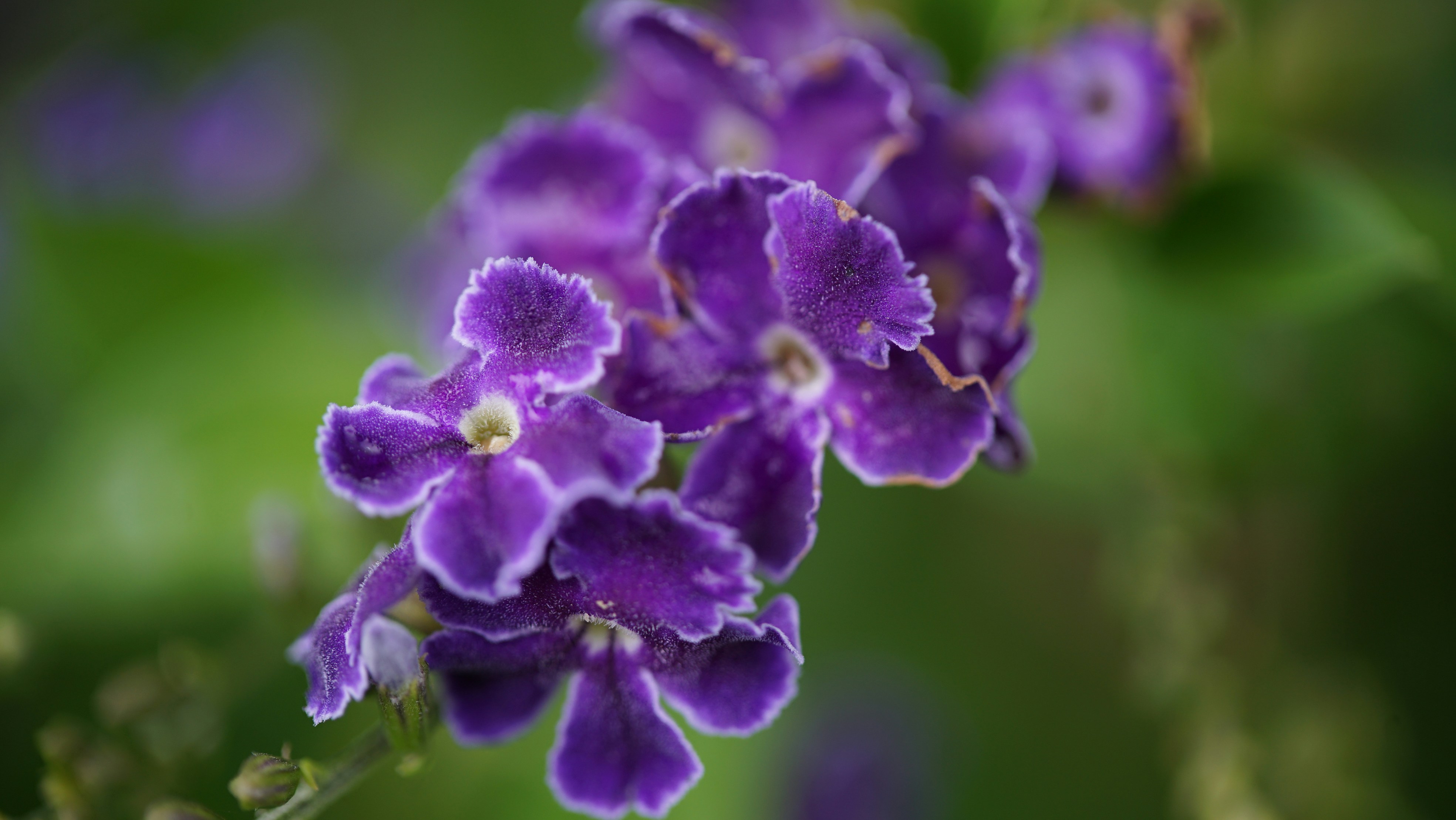 Photo by hannahslensphotography