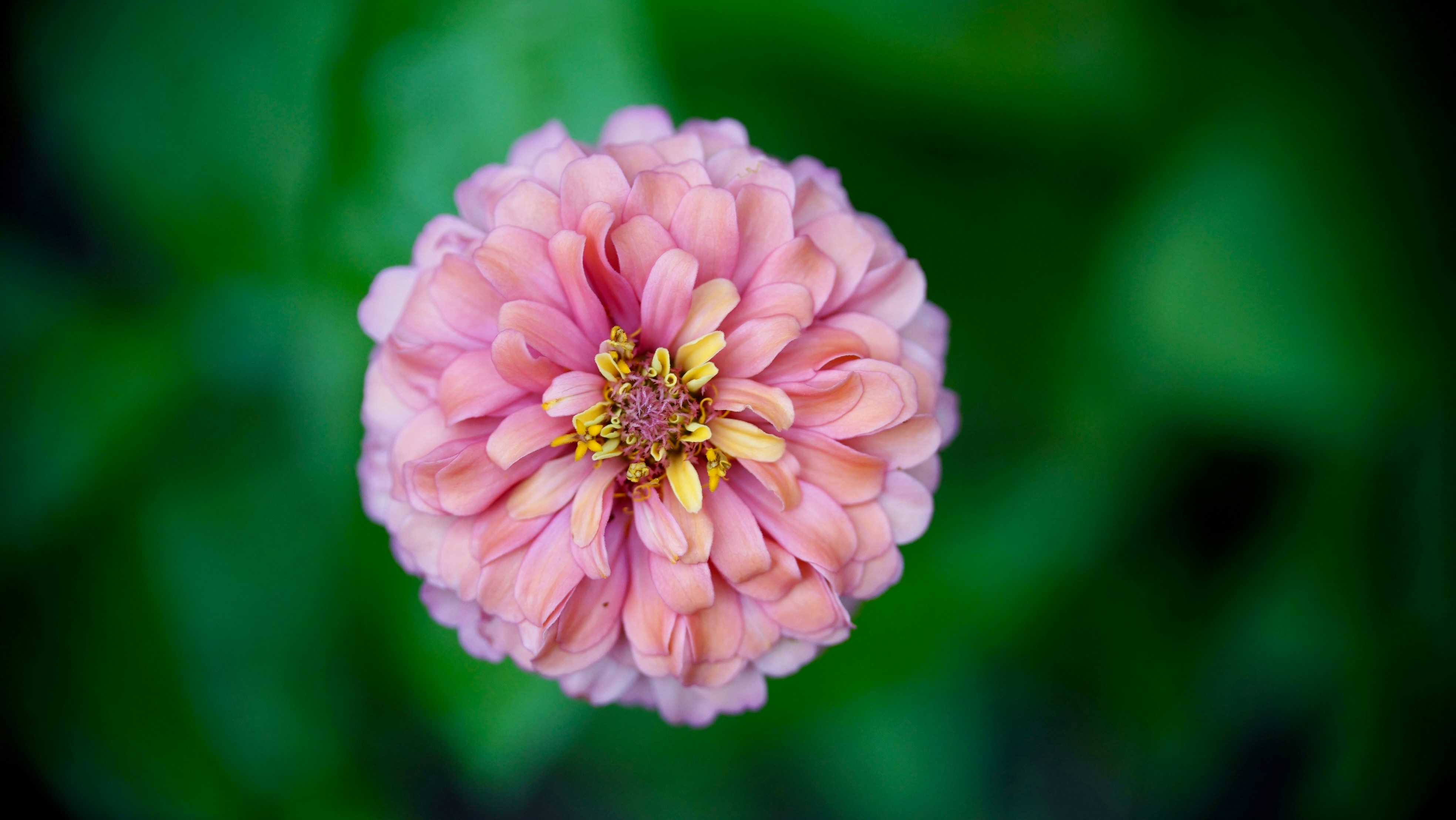 Photo by hannahslensphotography