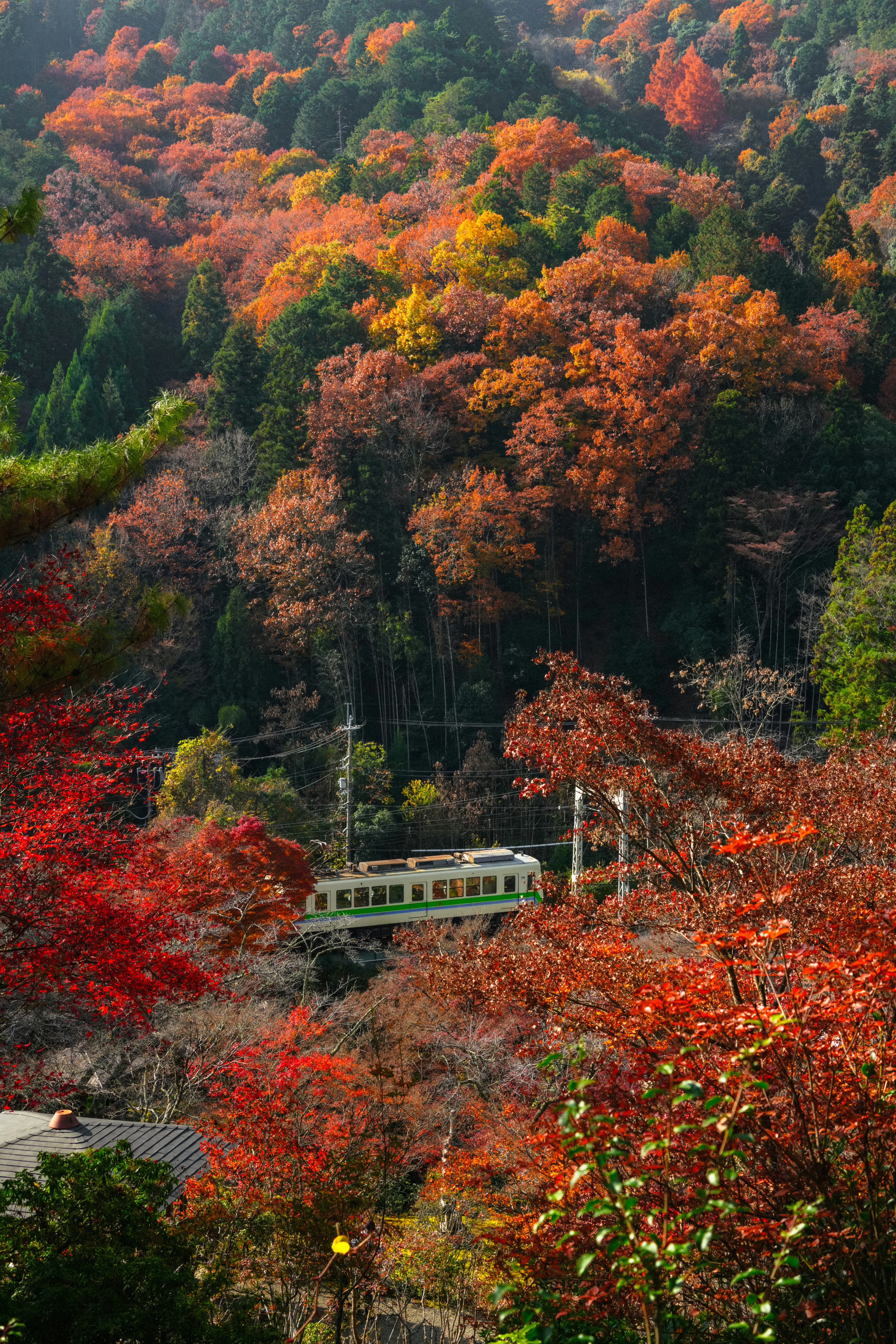 Travel across Japan by train
