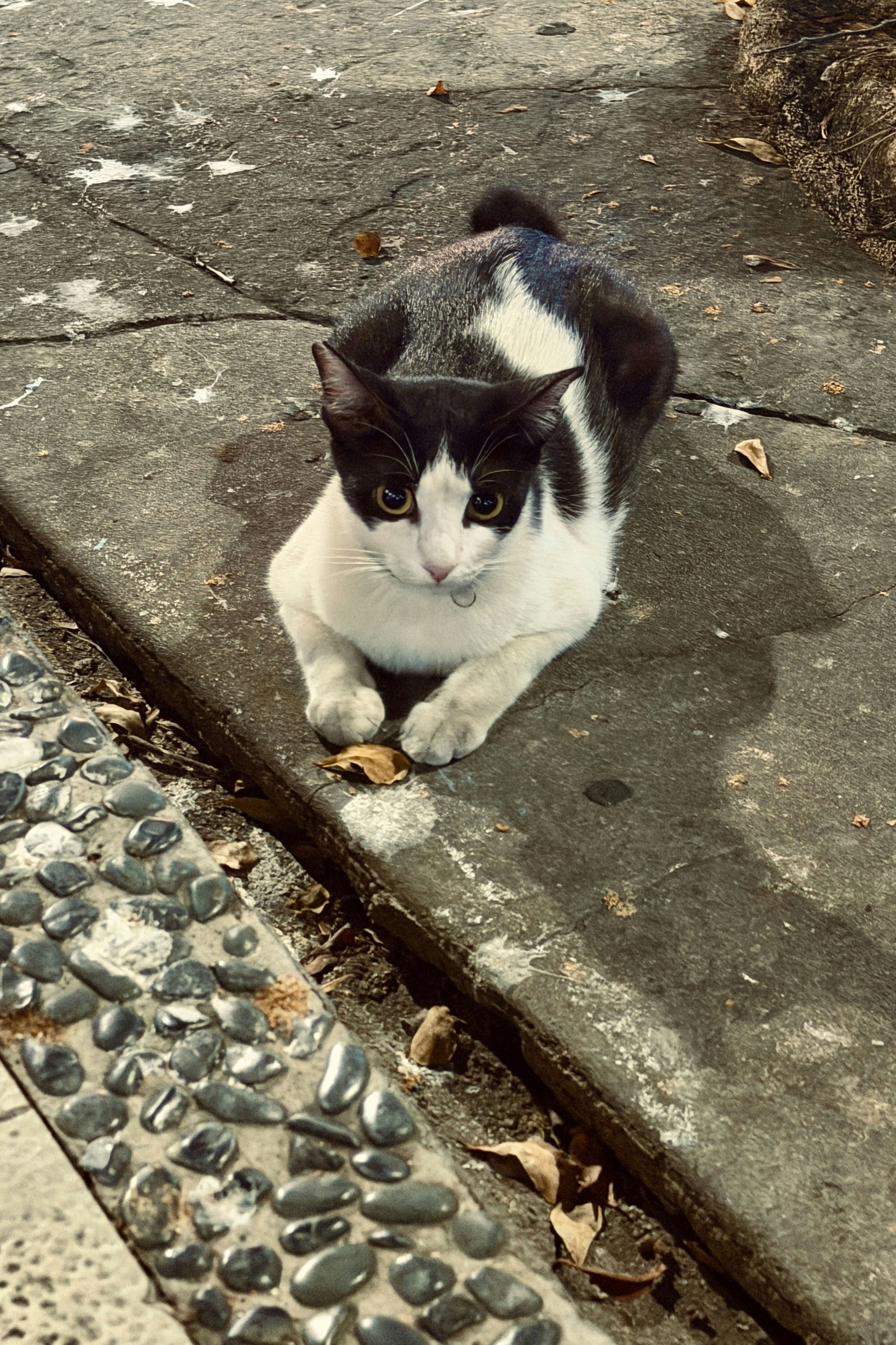 Photo by tomasrobertson