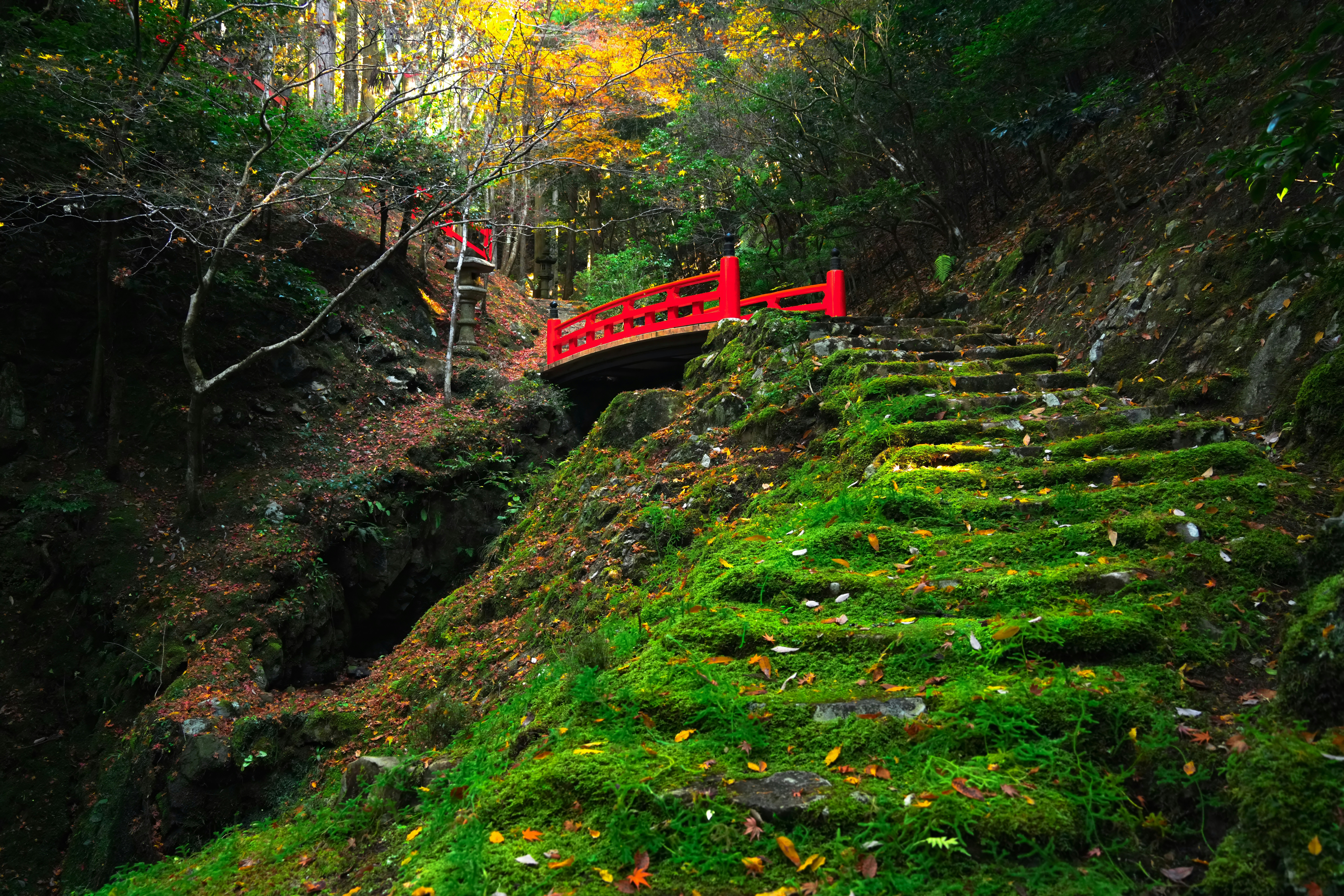 Photo by hattrick1996