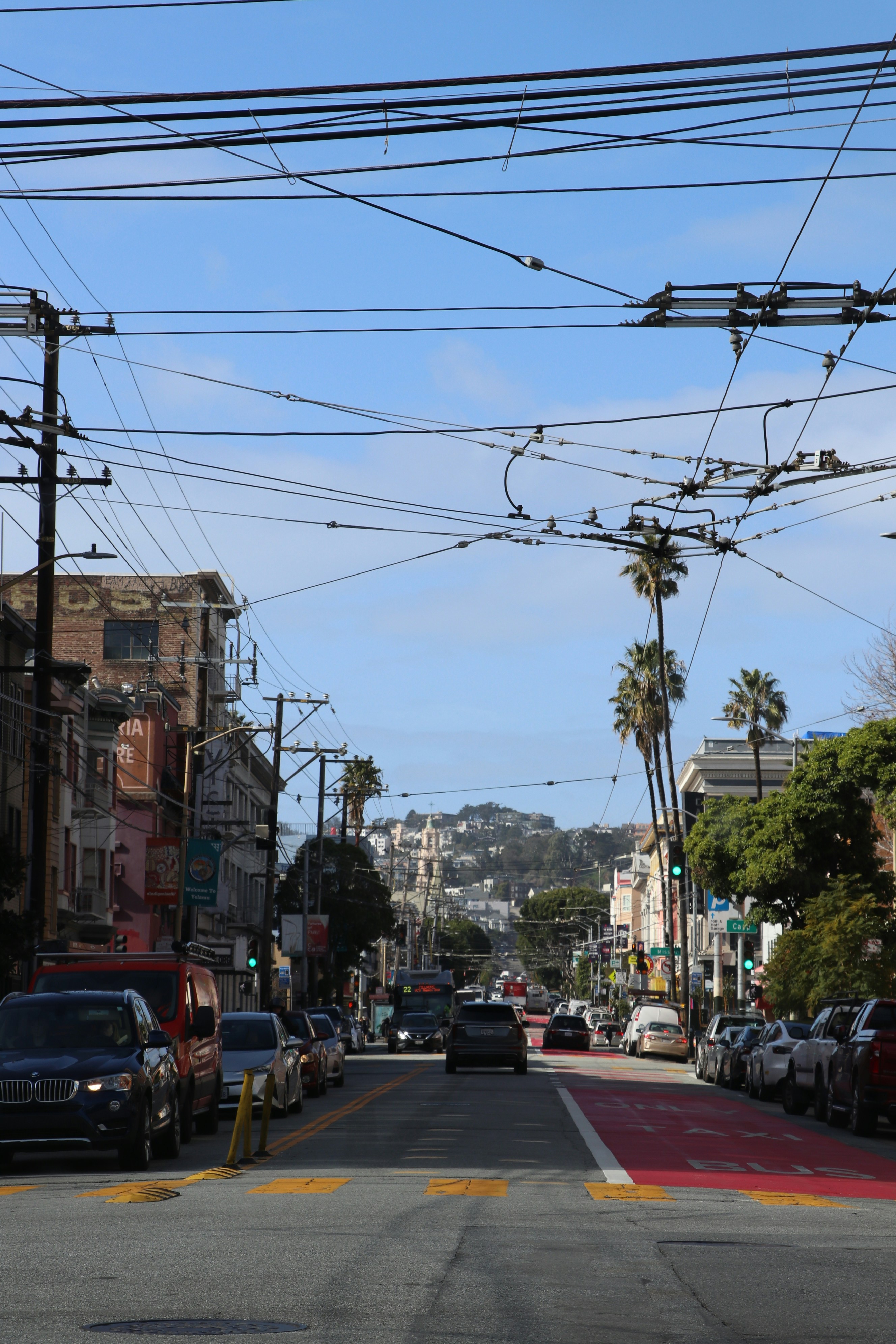Street view with trolley wires and palm trees