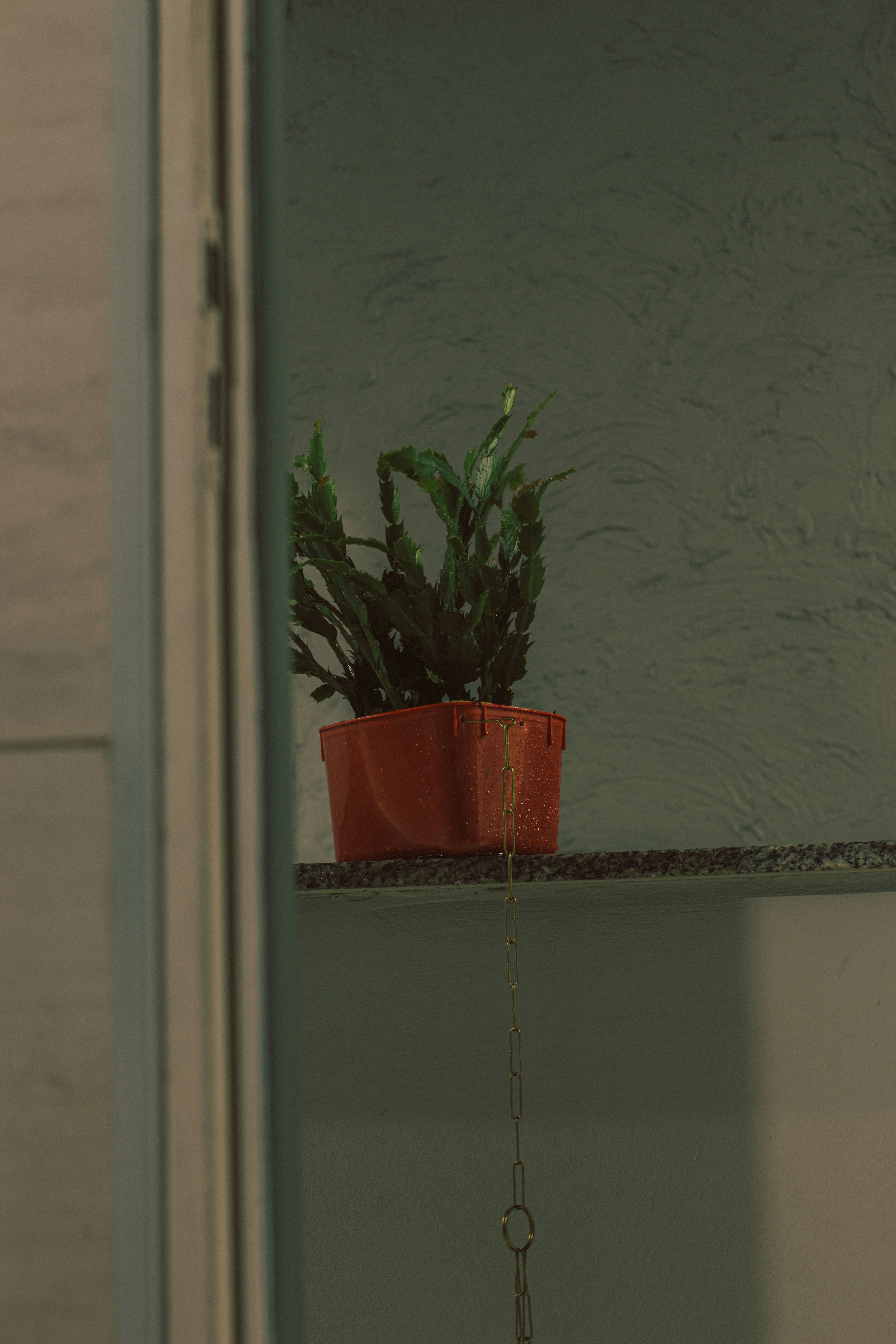 Photo by matheuscosta111