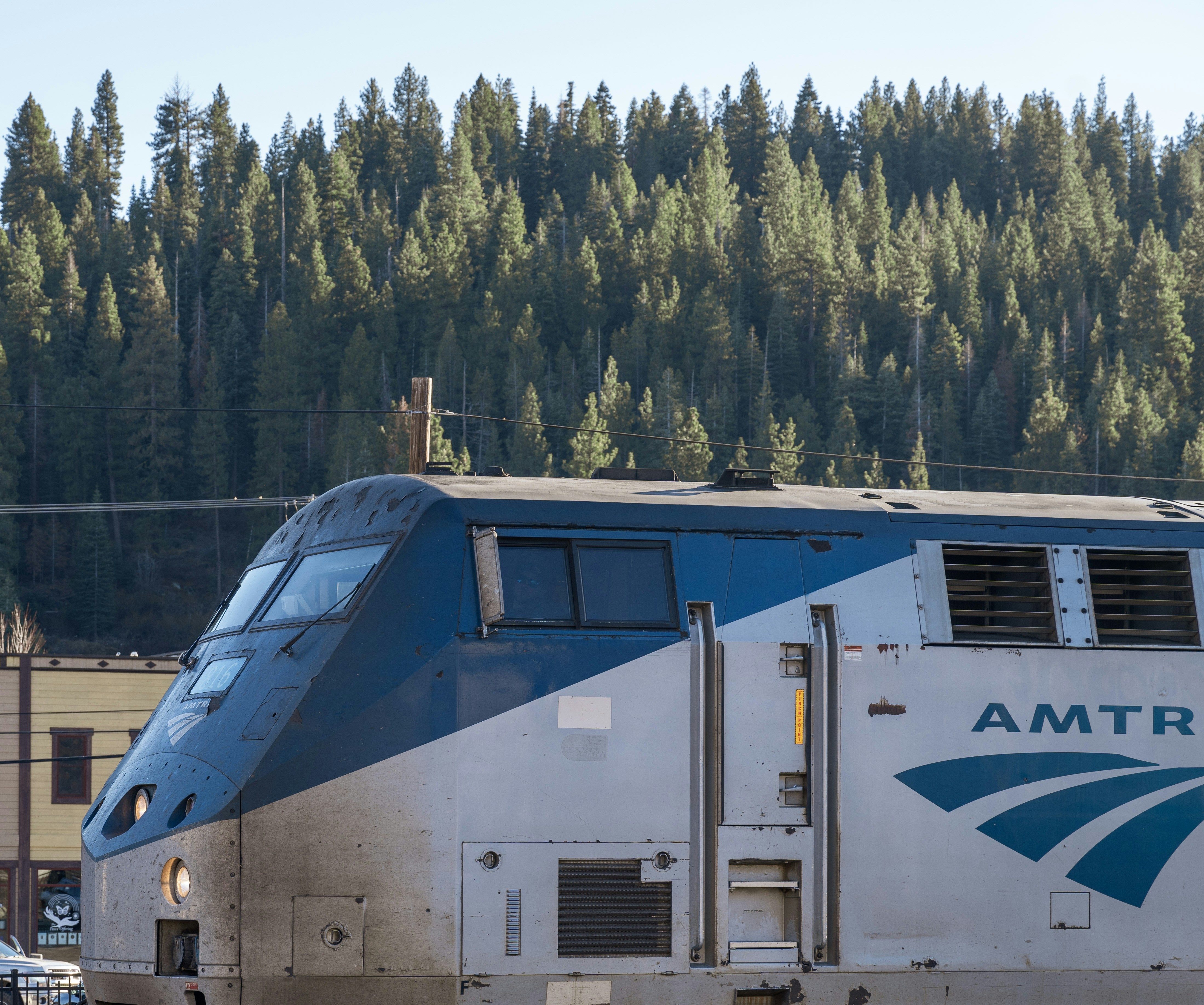 Amtrak train travels through a forest landscape.