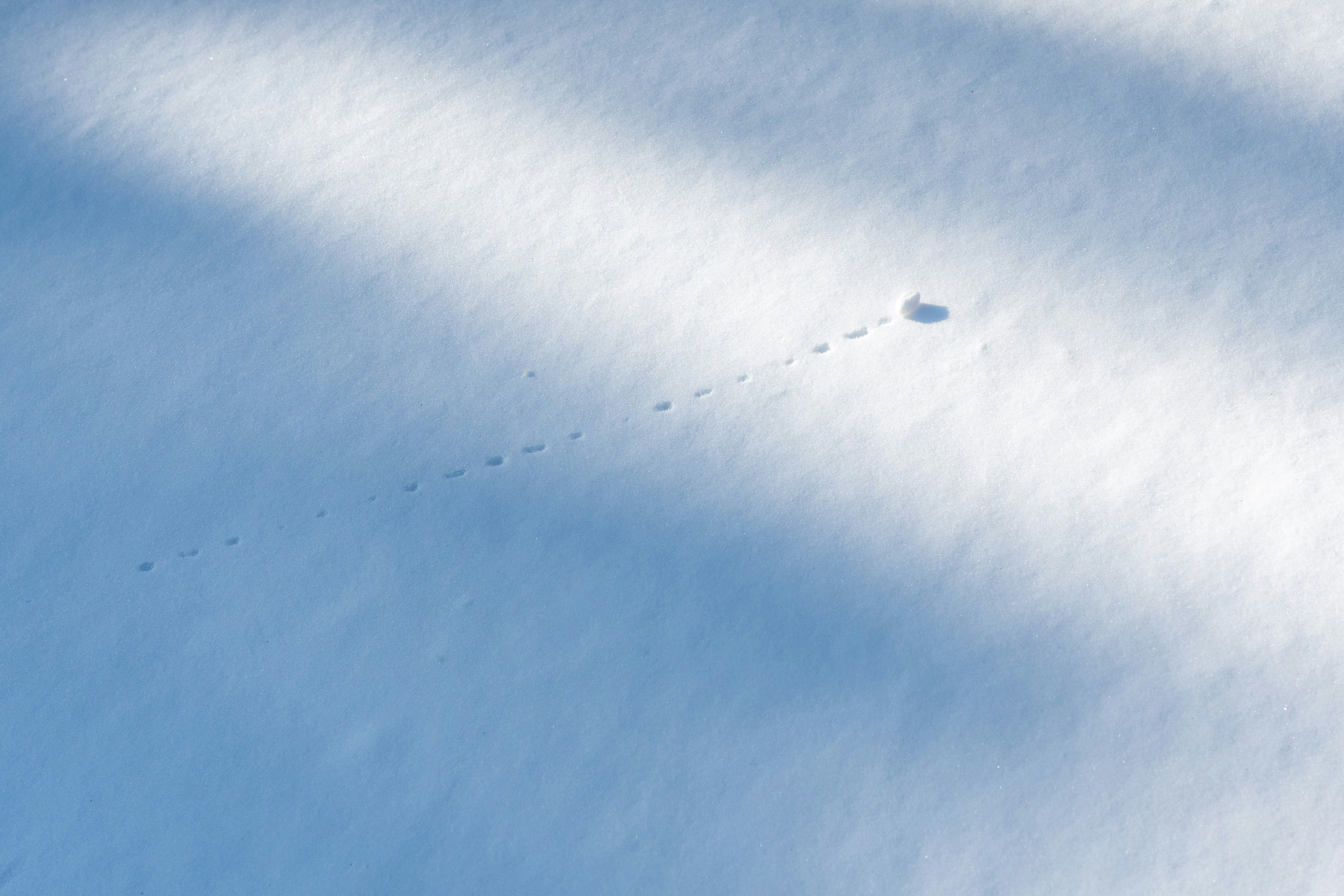 Photo by hyewonphotography