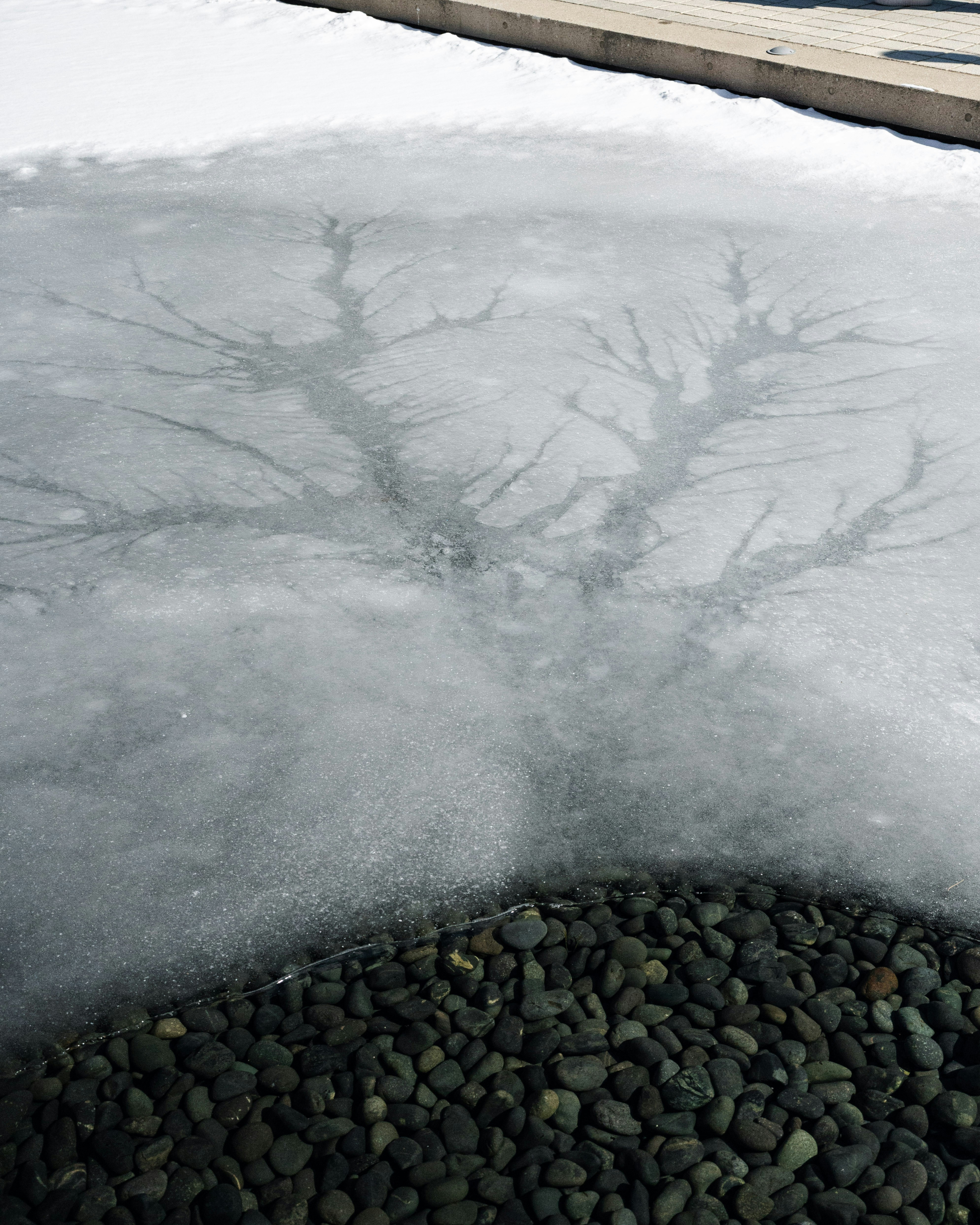 Photo by hyewonphotography