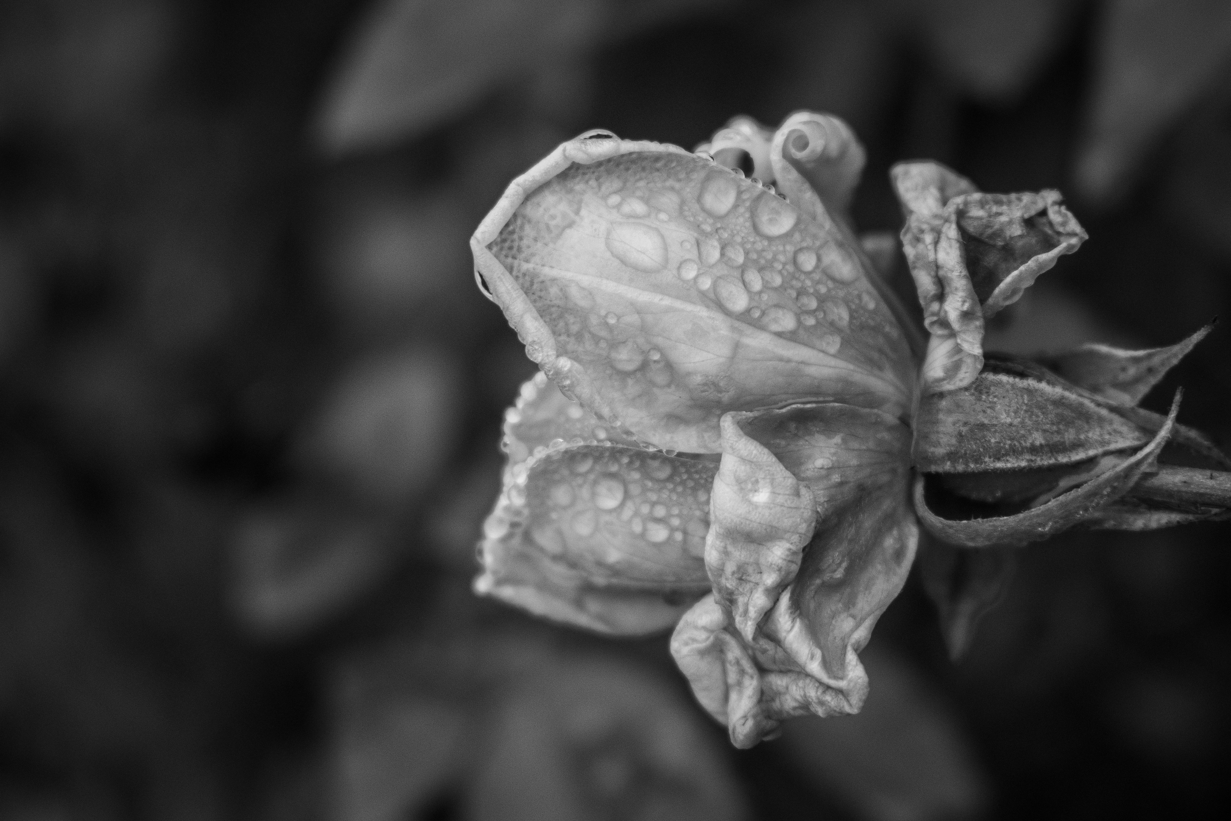 Photo by elisastonephotography