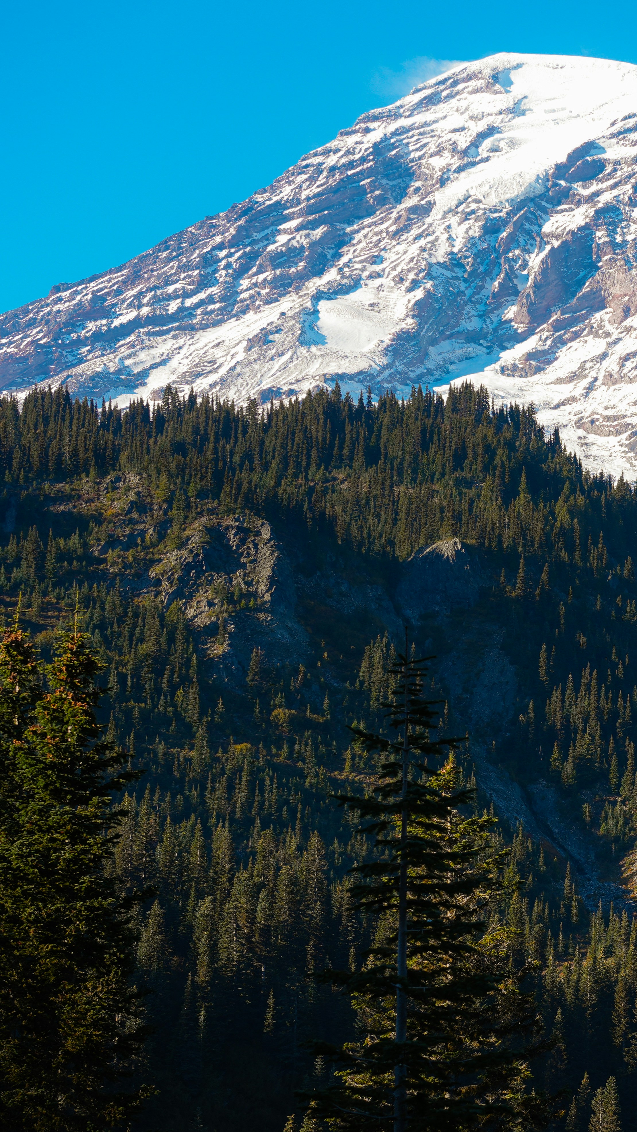 Photo by boiledseagull