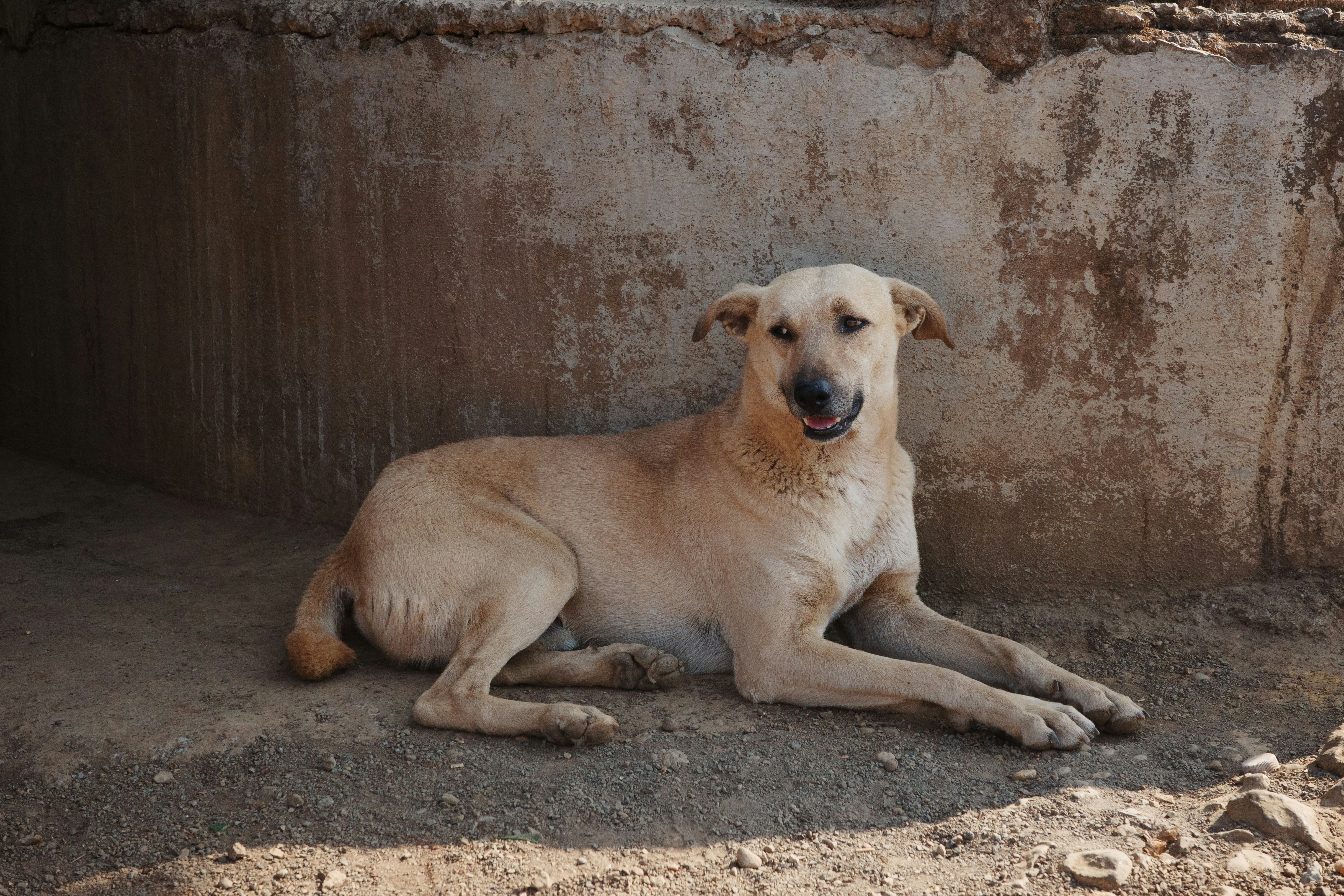 Photo by kidrahandco