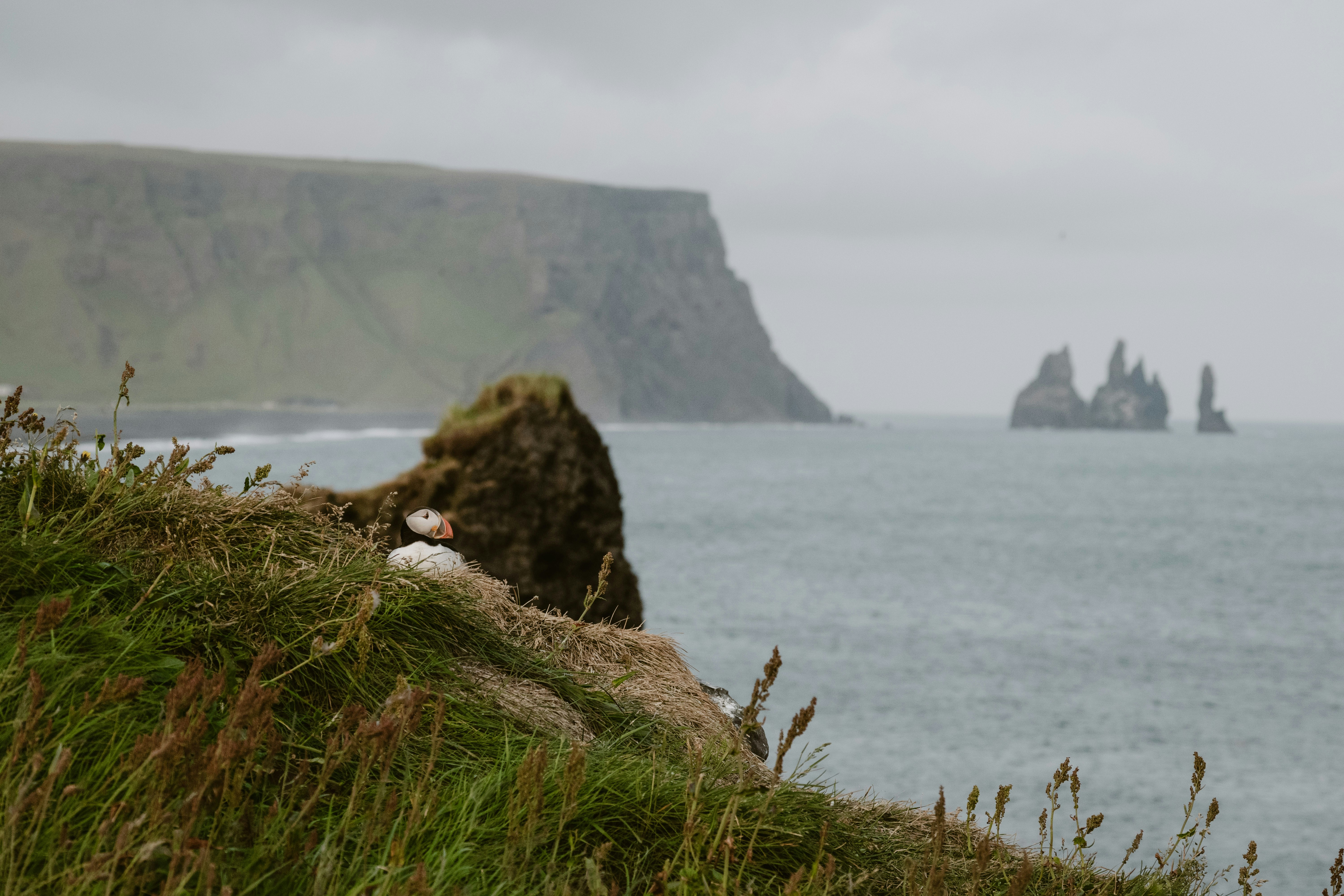 Photo by balazsgabor17