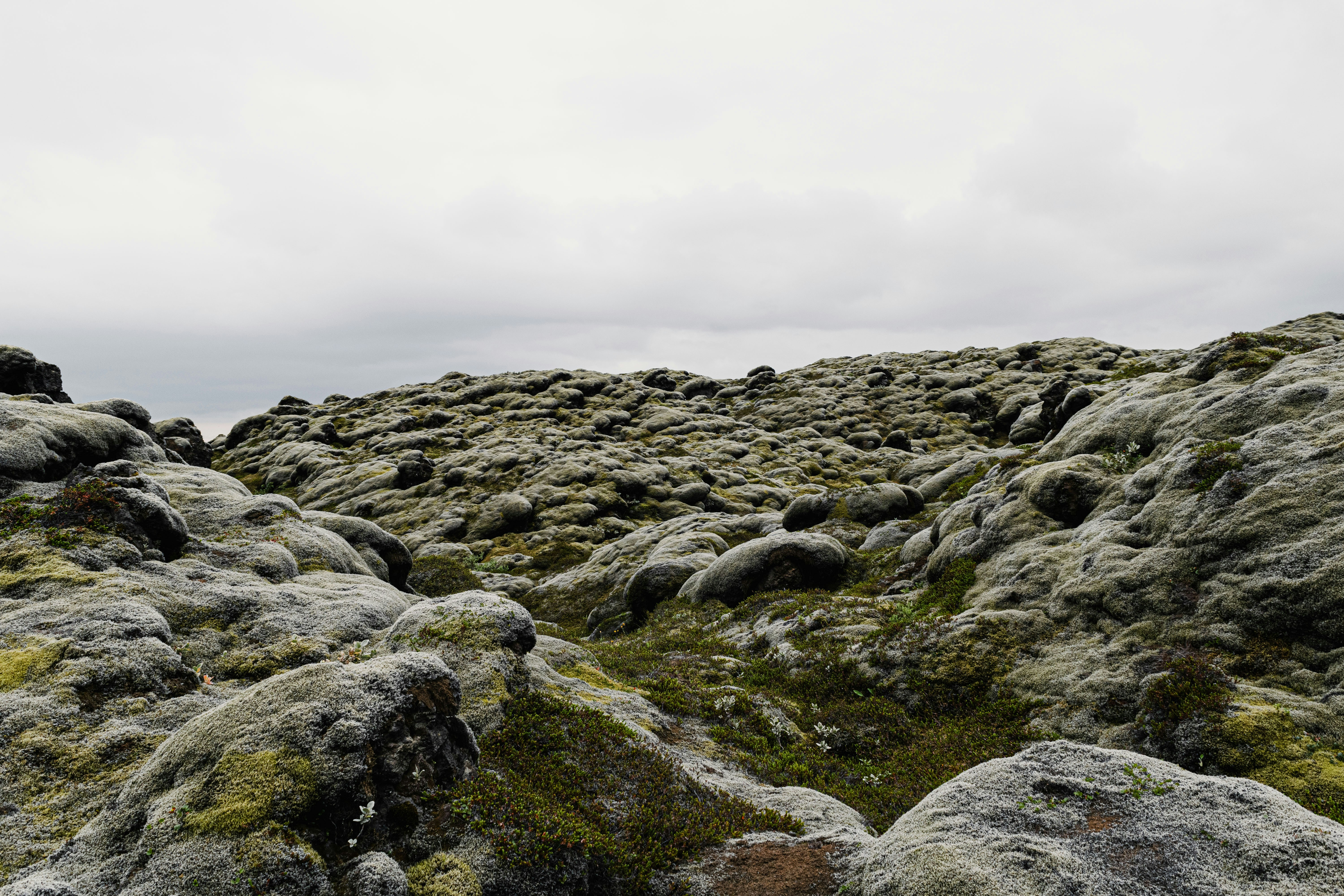 Photo by balazsgabor17