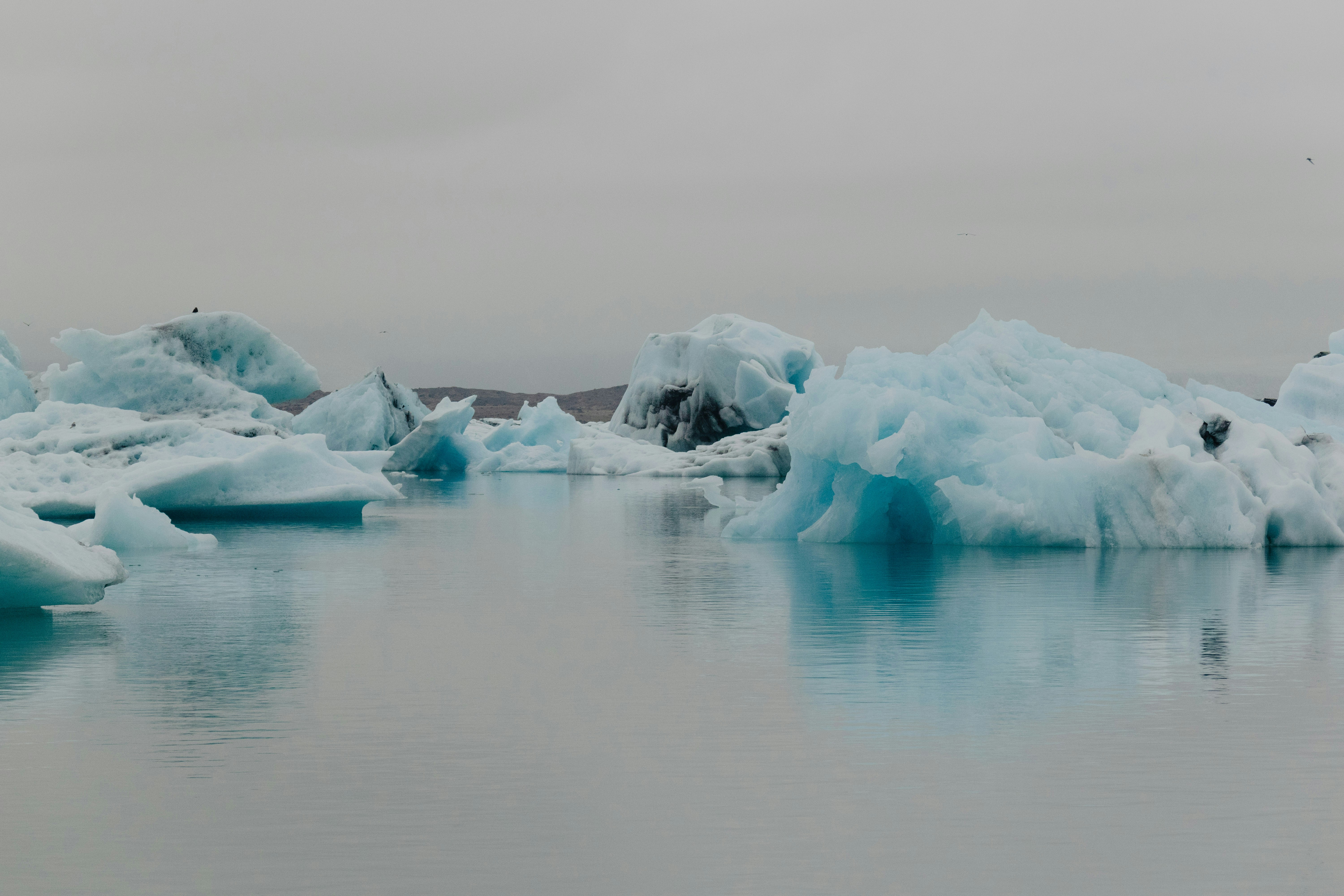 Photo by balazsgabor17