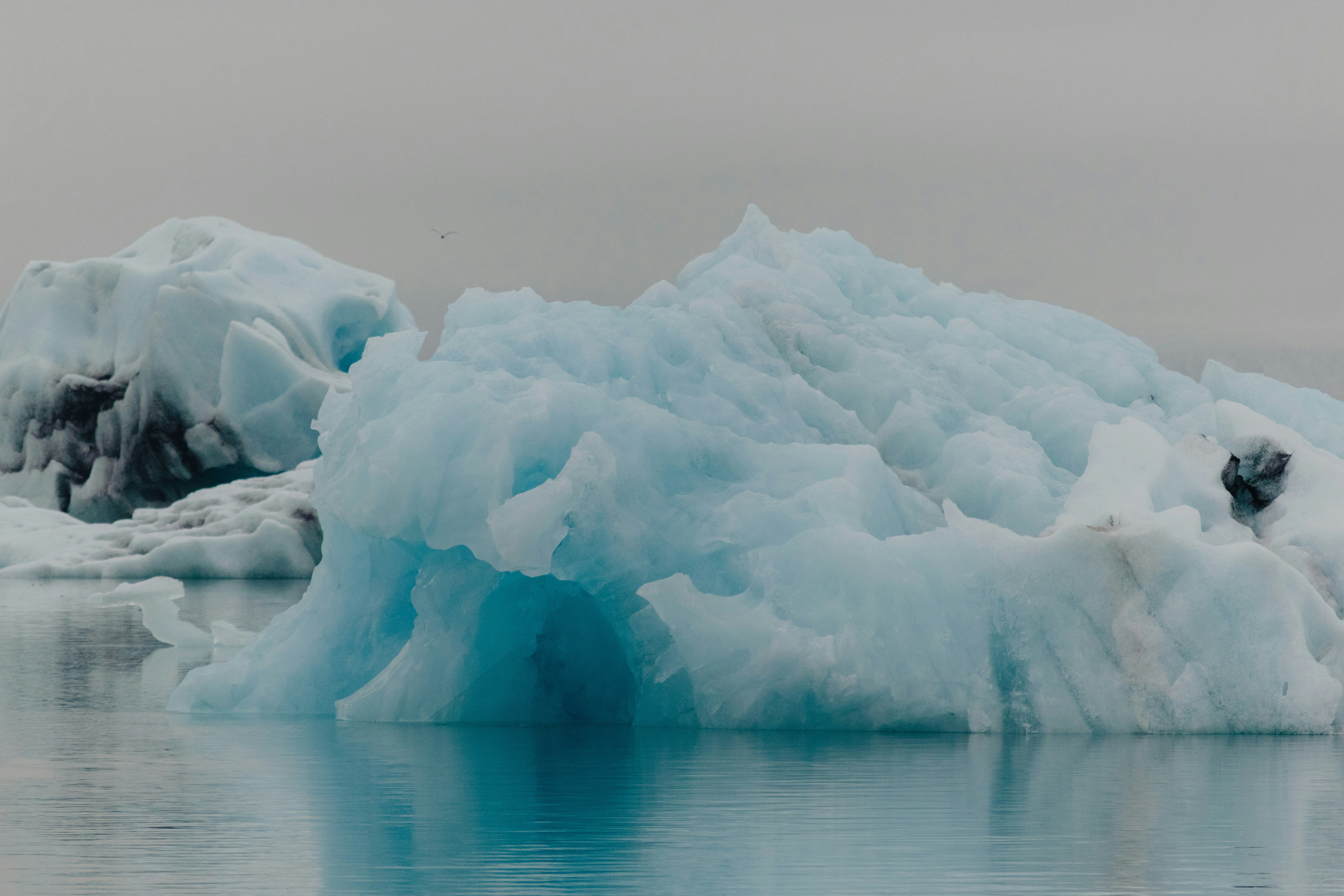 Photo by balazsgabor17