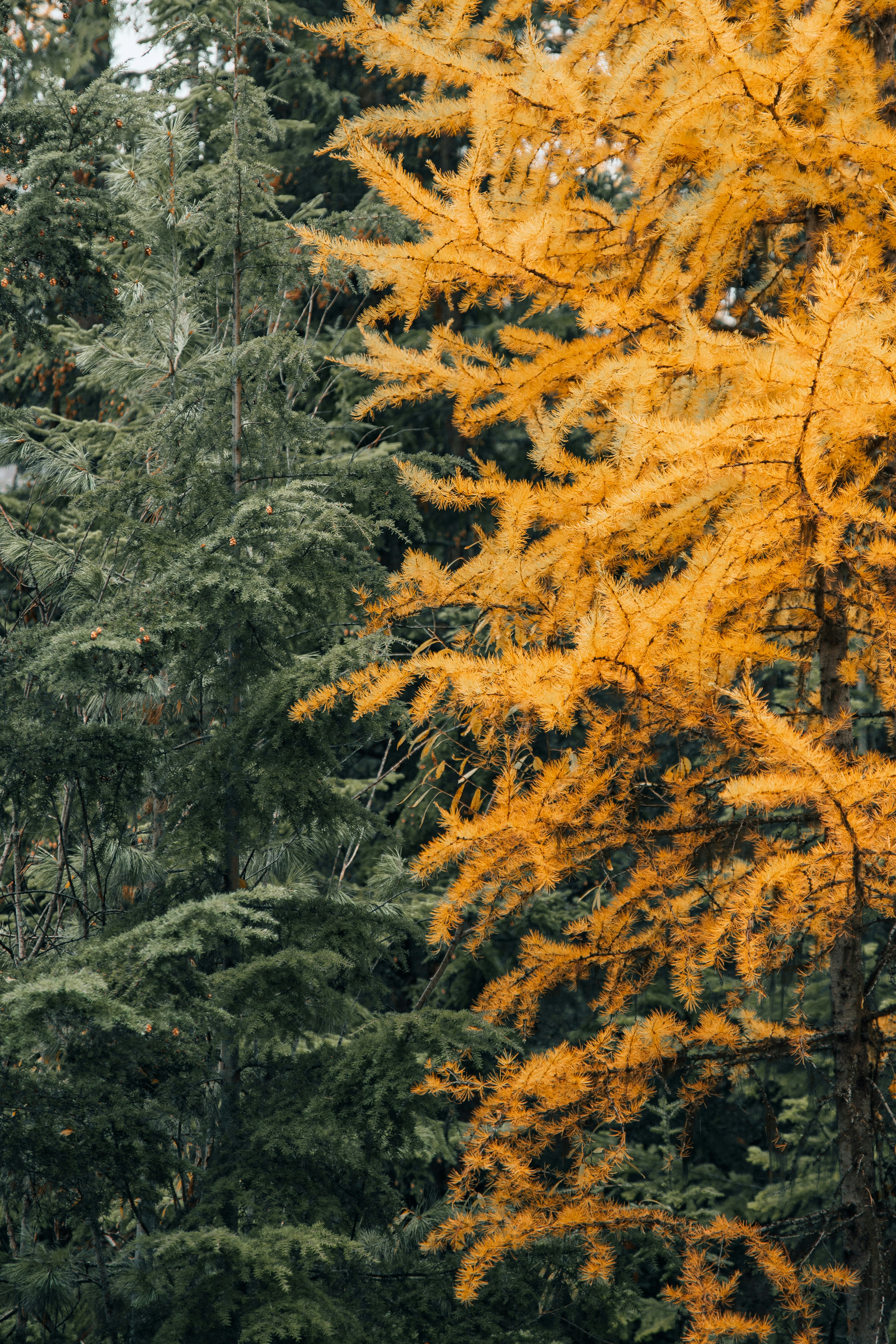 Photo by claytonschase