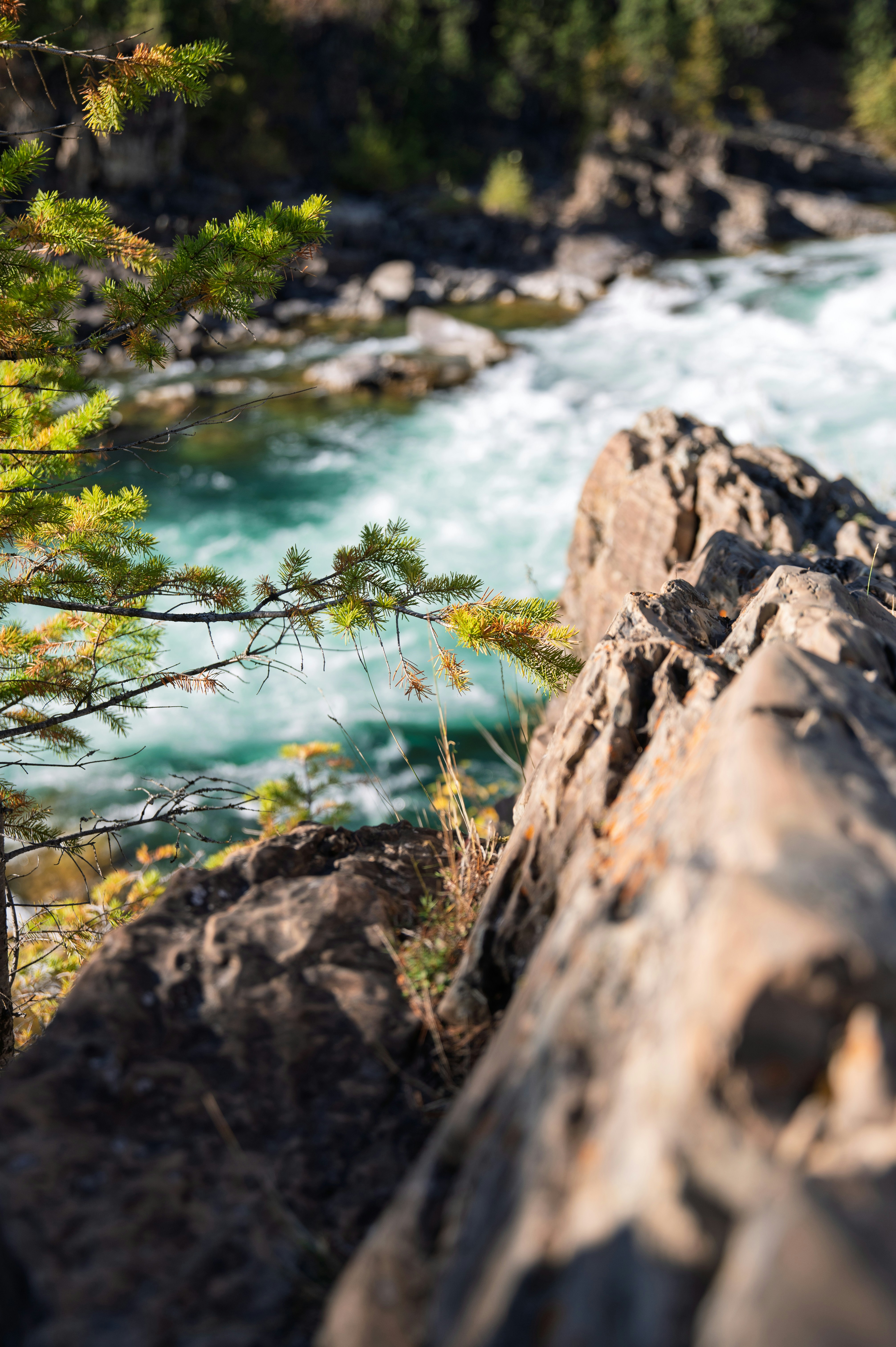 Photo by claytonschase