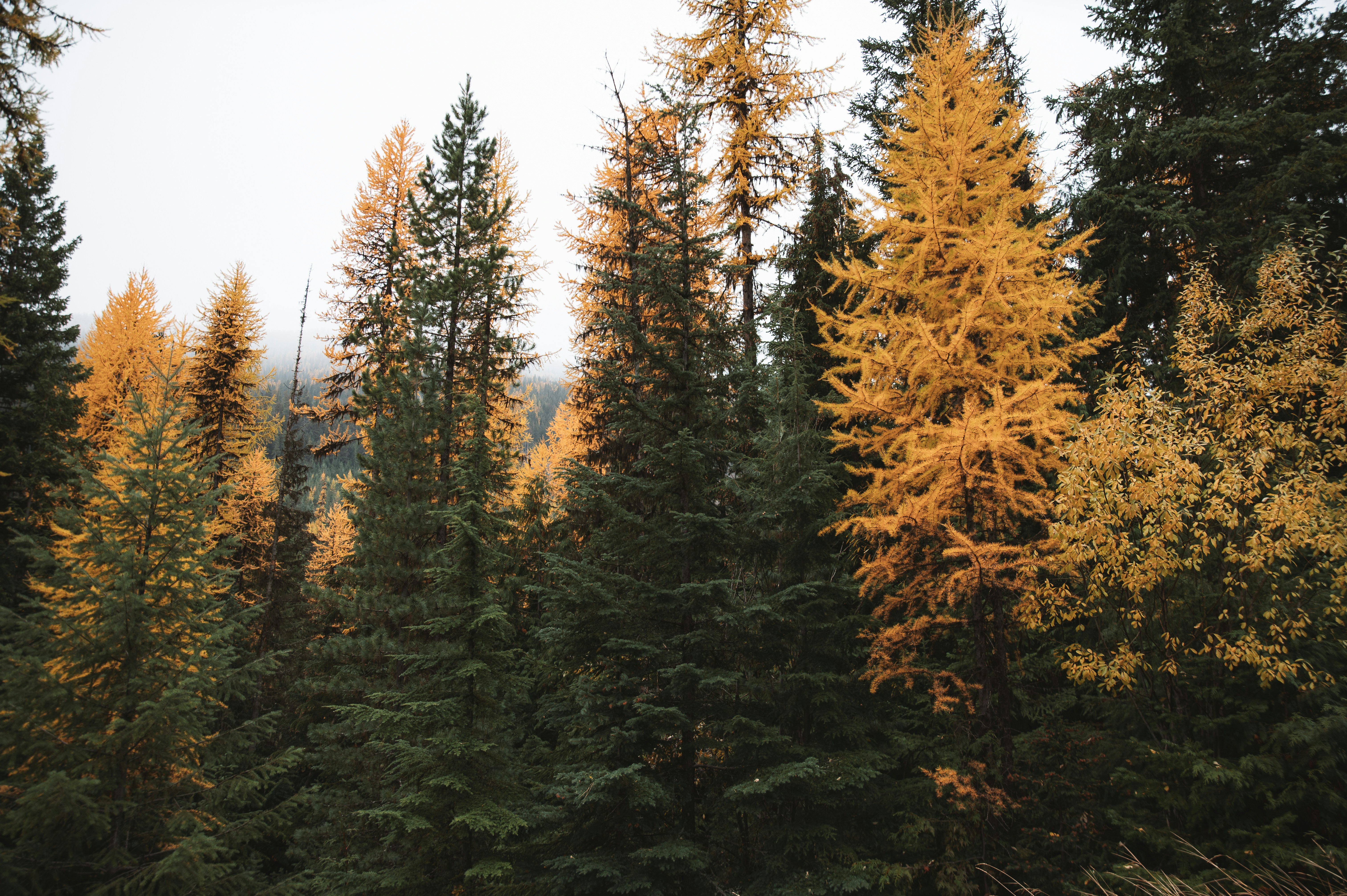 Photo by claytonschase