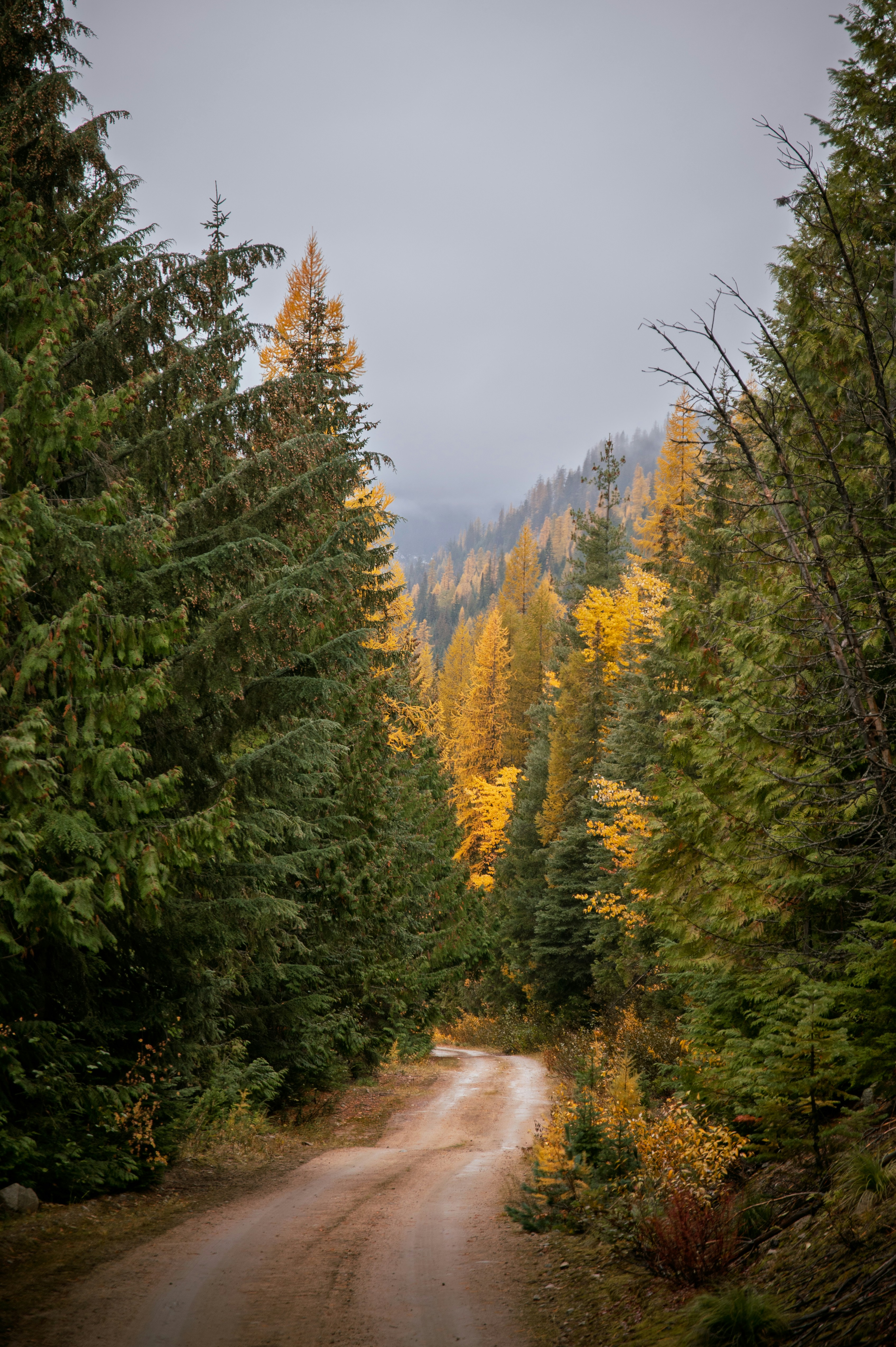 Photo by claytonschase