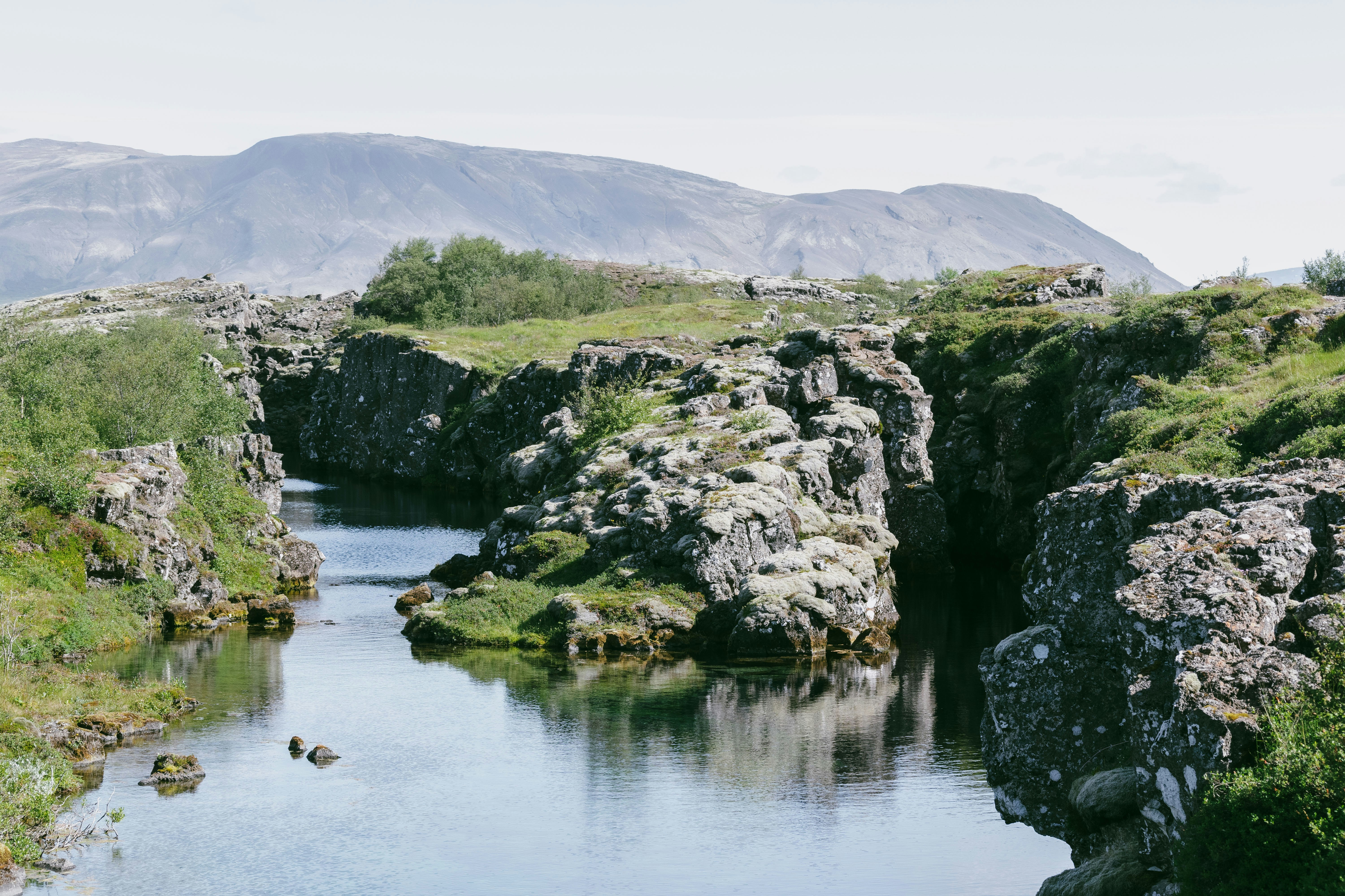 Photo by balazsgabor17