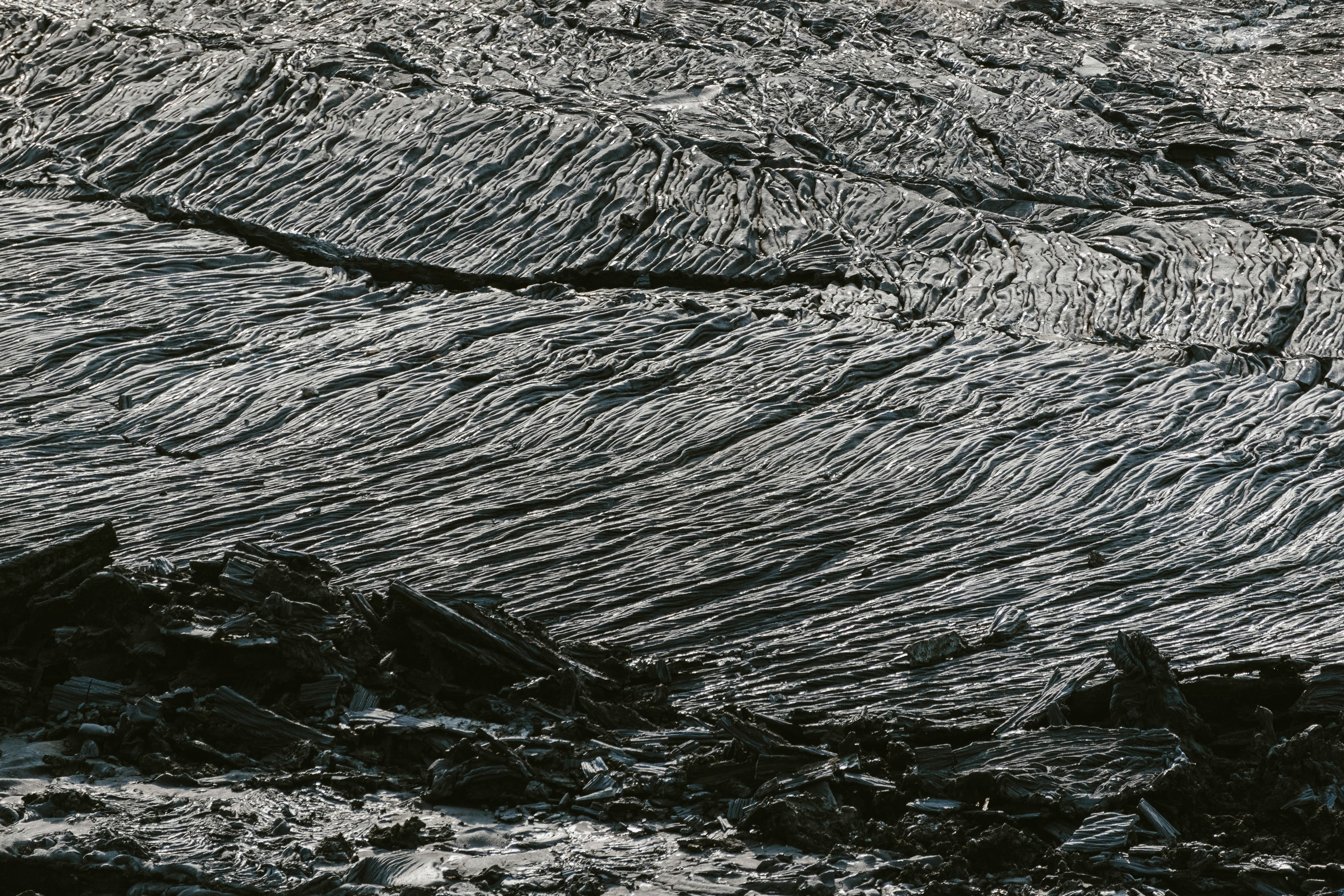 Photo by balazsgabor17