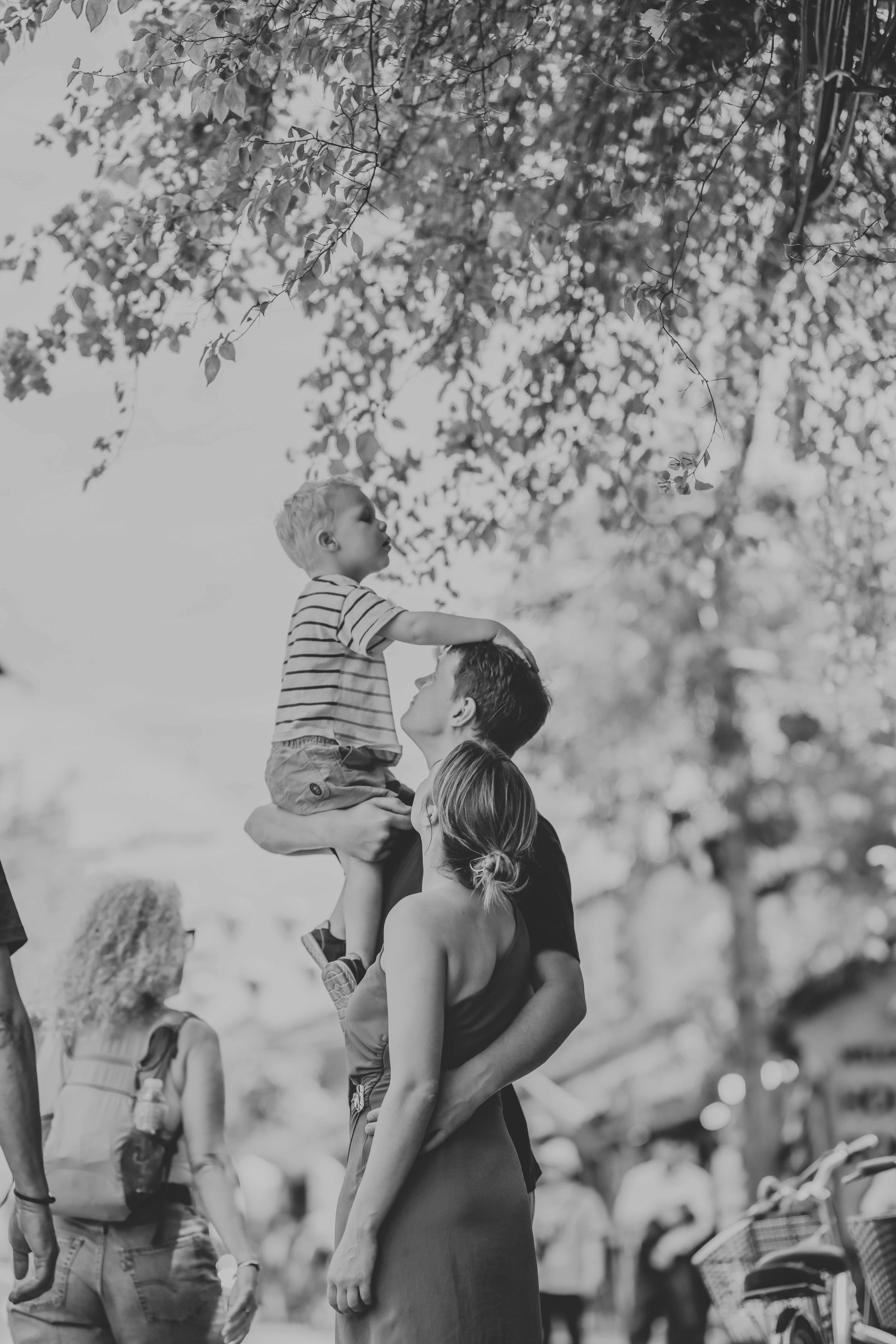 Family looking up at leaves under a tree