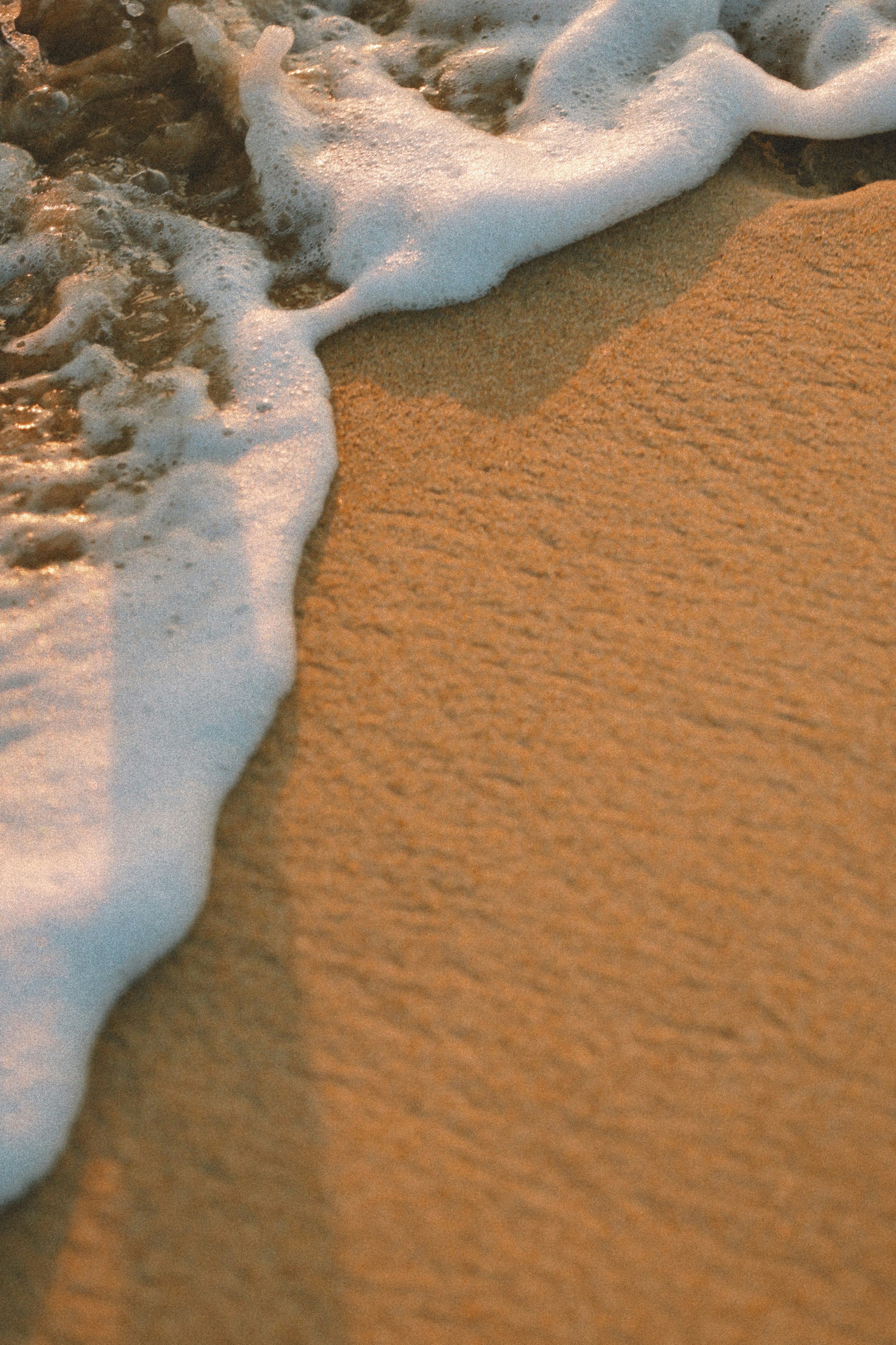 Photo by hoianphotographer