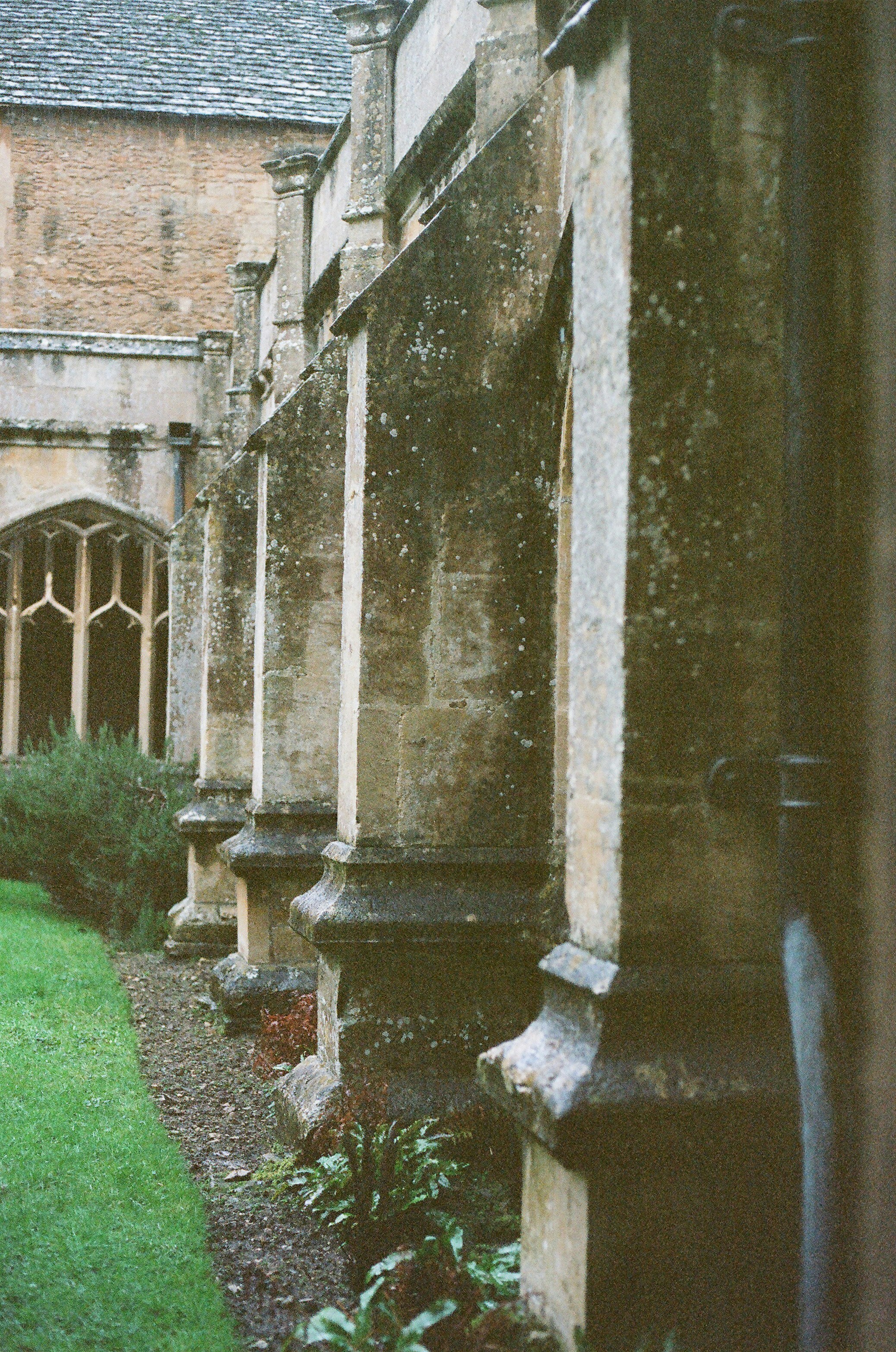 Photo by tanyabarrow