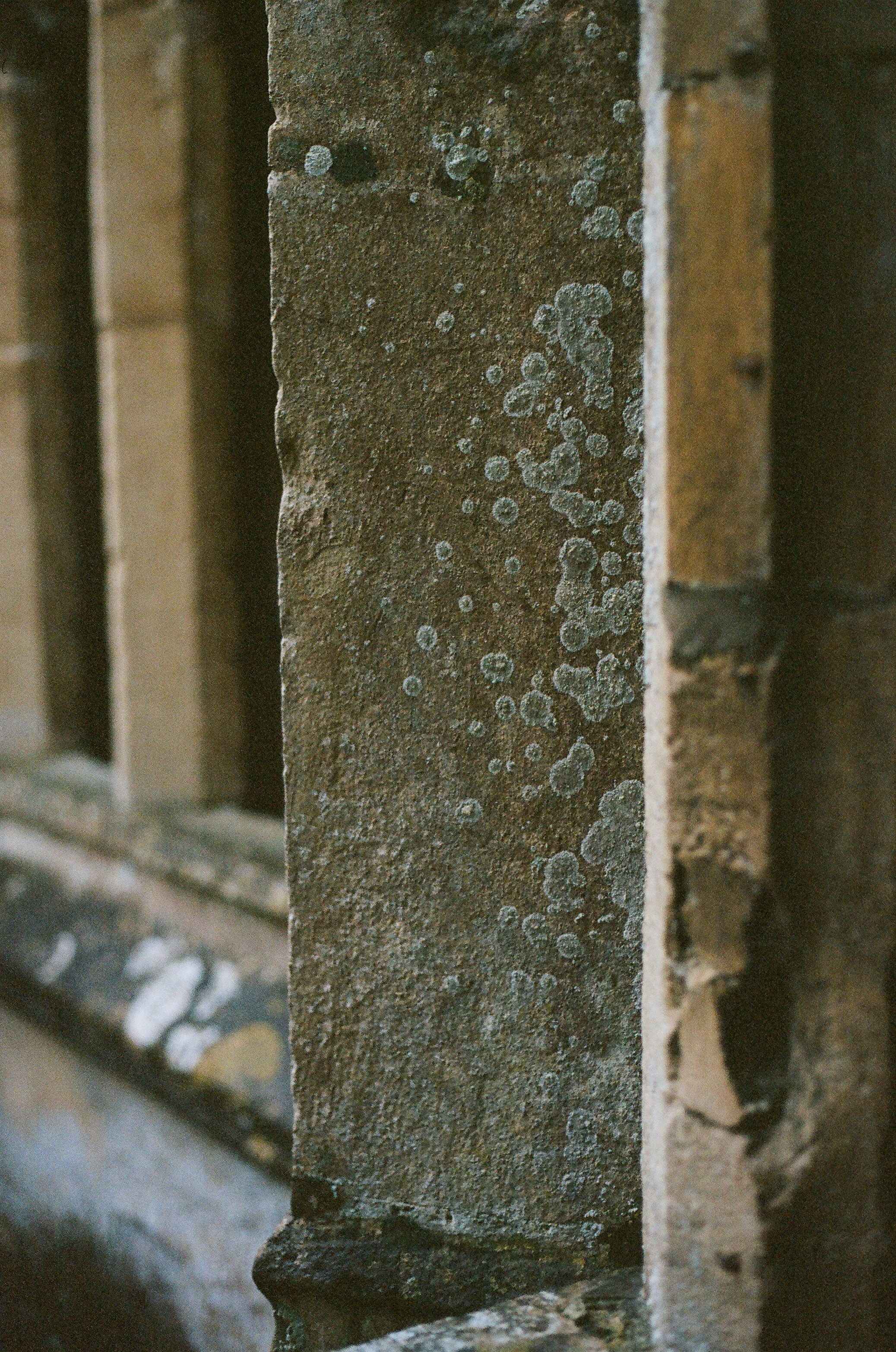 Photo by tanyabarrow