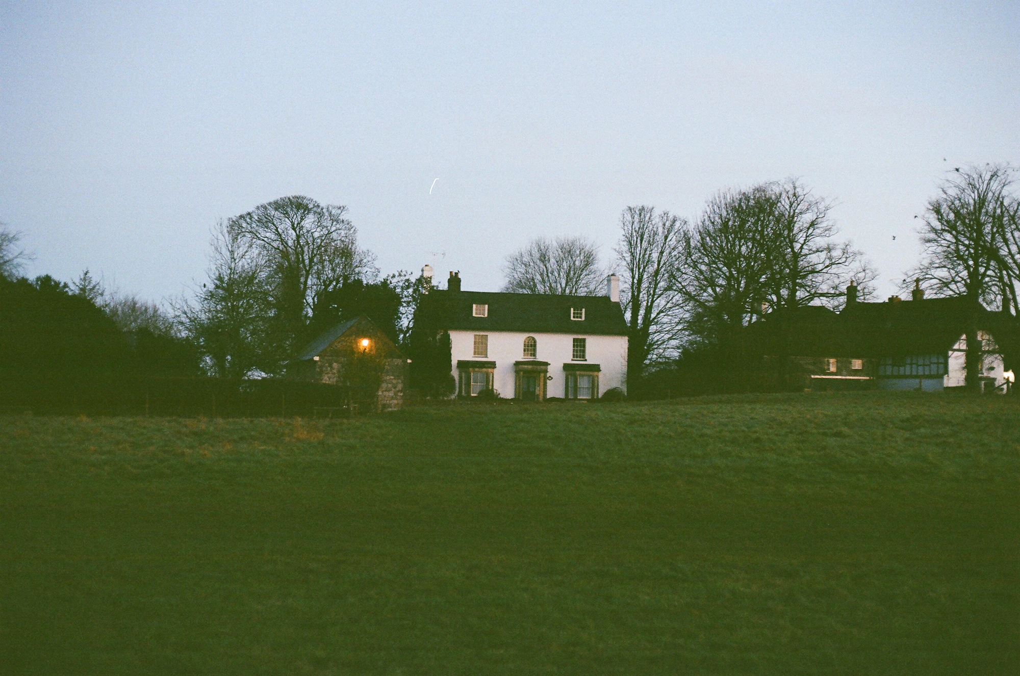 Two white farmhouses among trees at dusk
