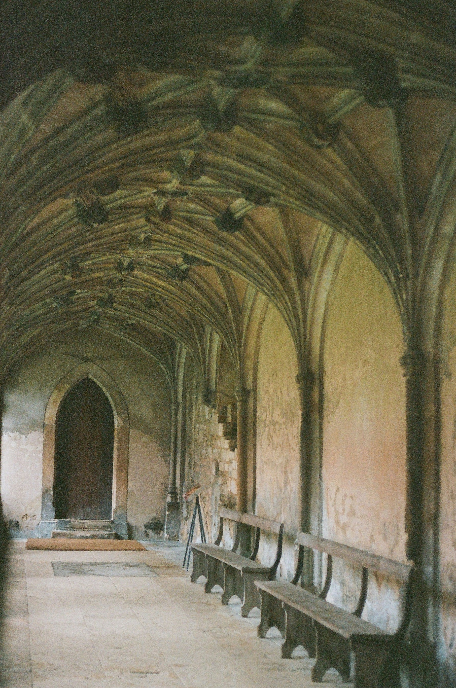 Photo by tanyabarrow