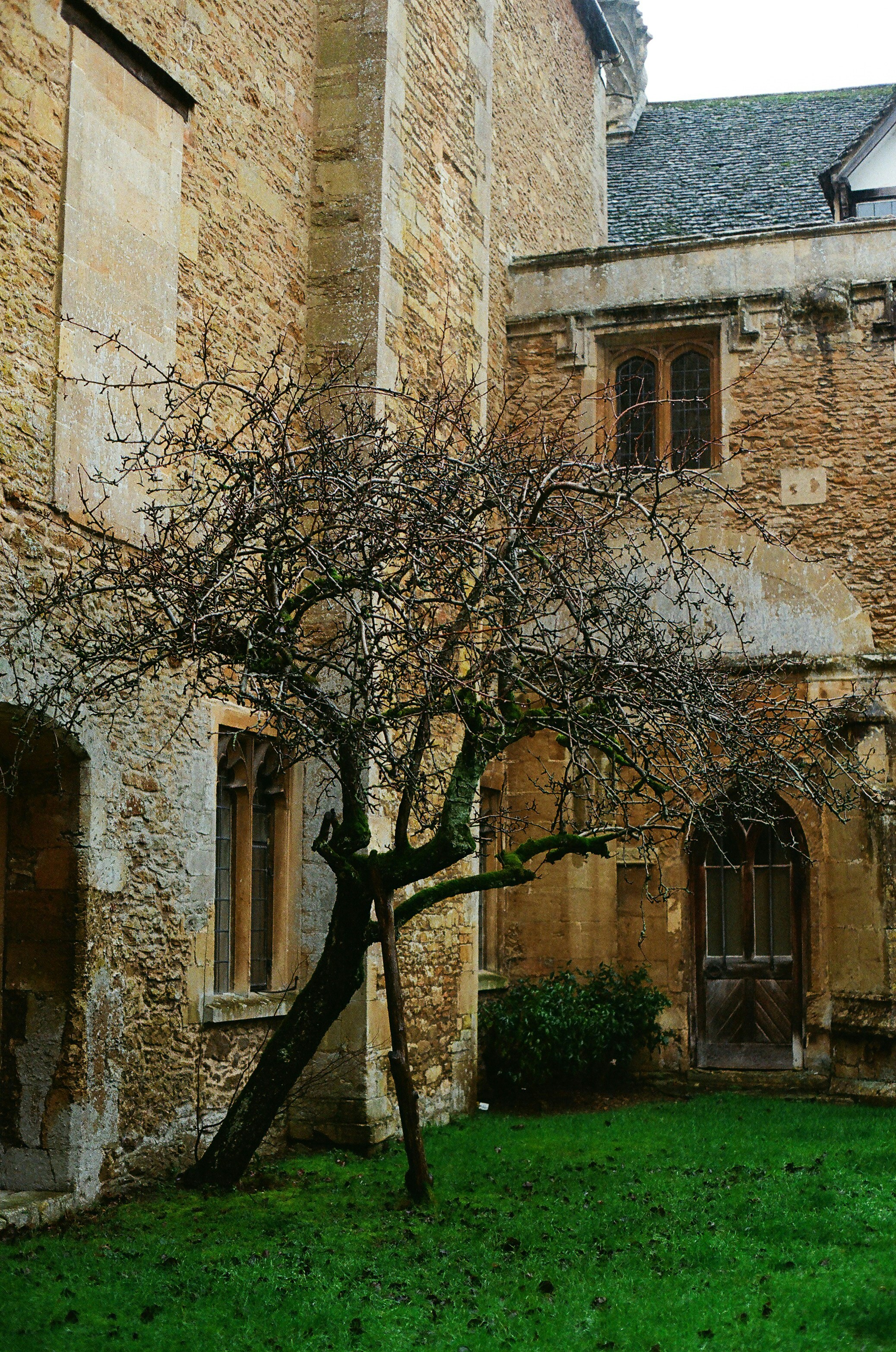 Photo by tanyabarrow