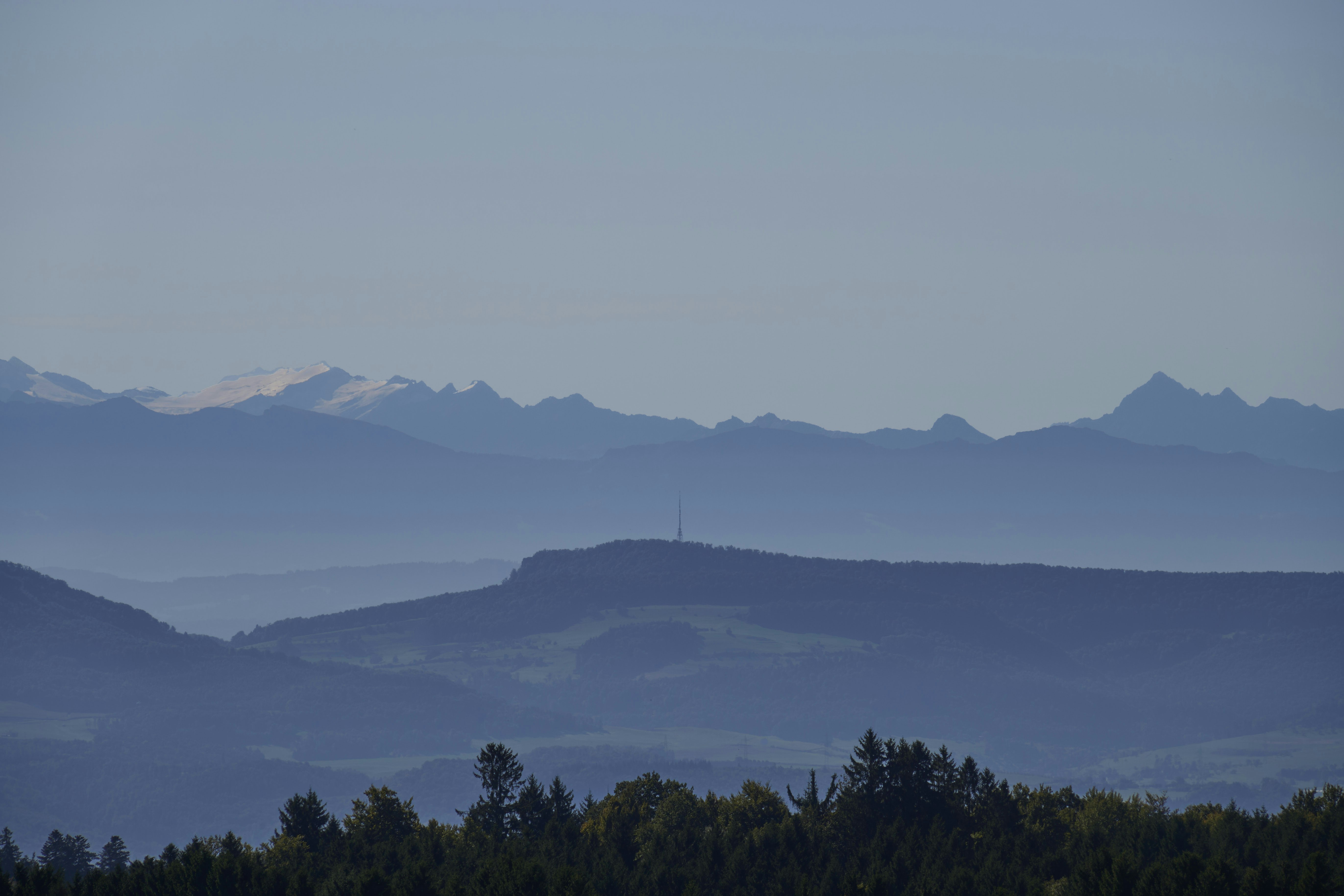 Photo by wolfgang_hasselmann