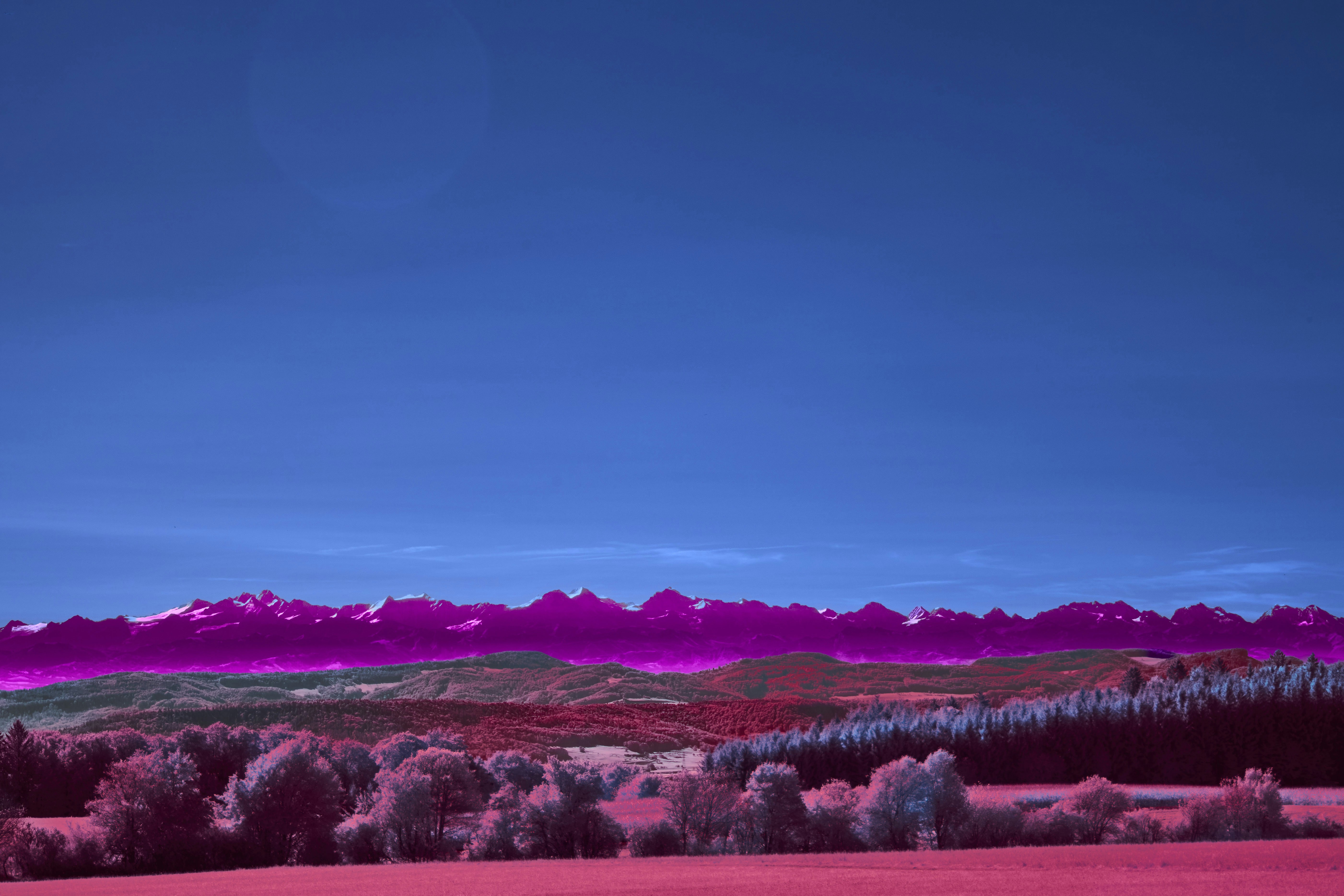 Photo by wolfgang_hasselmann