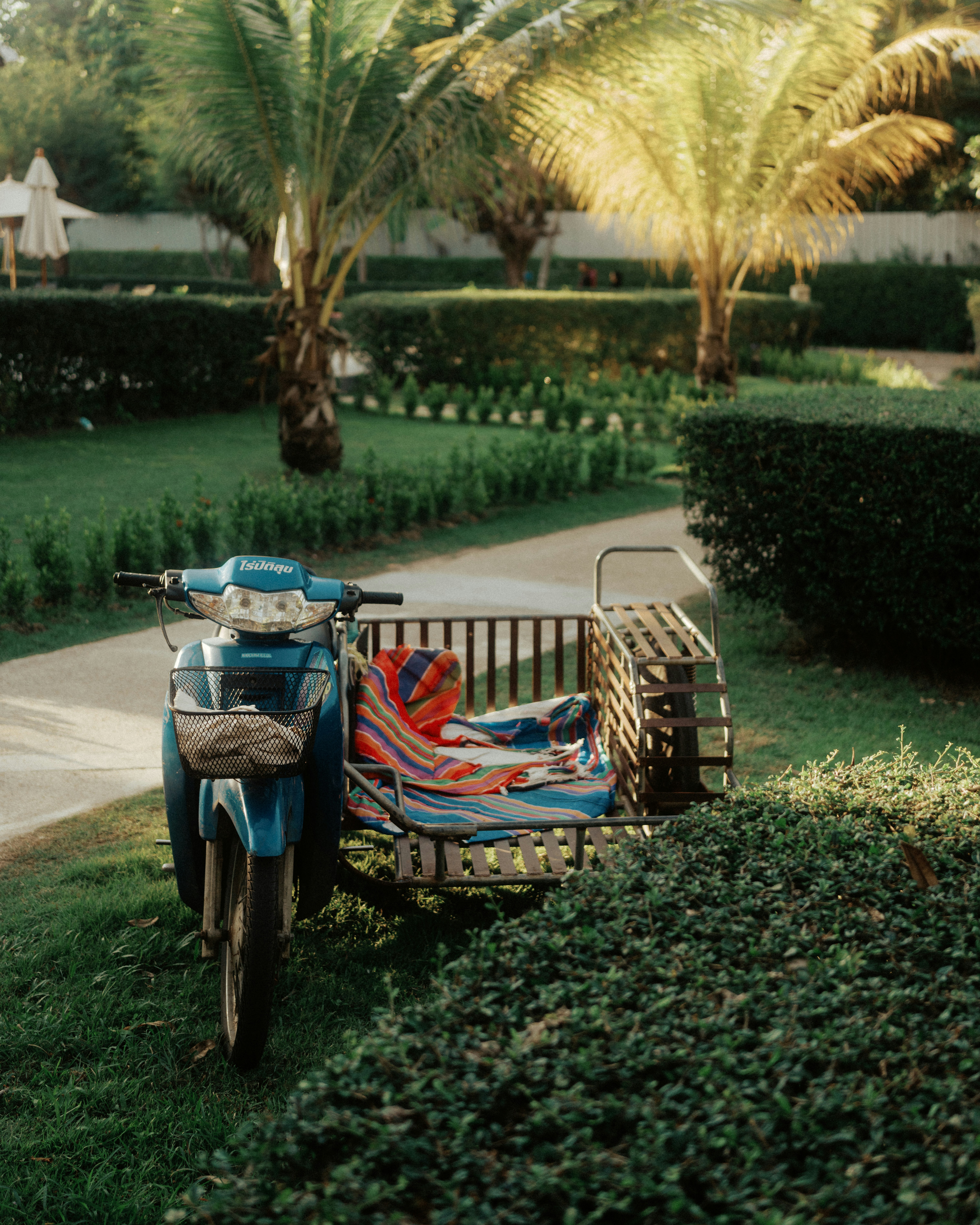 Blue motorcycle with sidecar parked near palm trees.