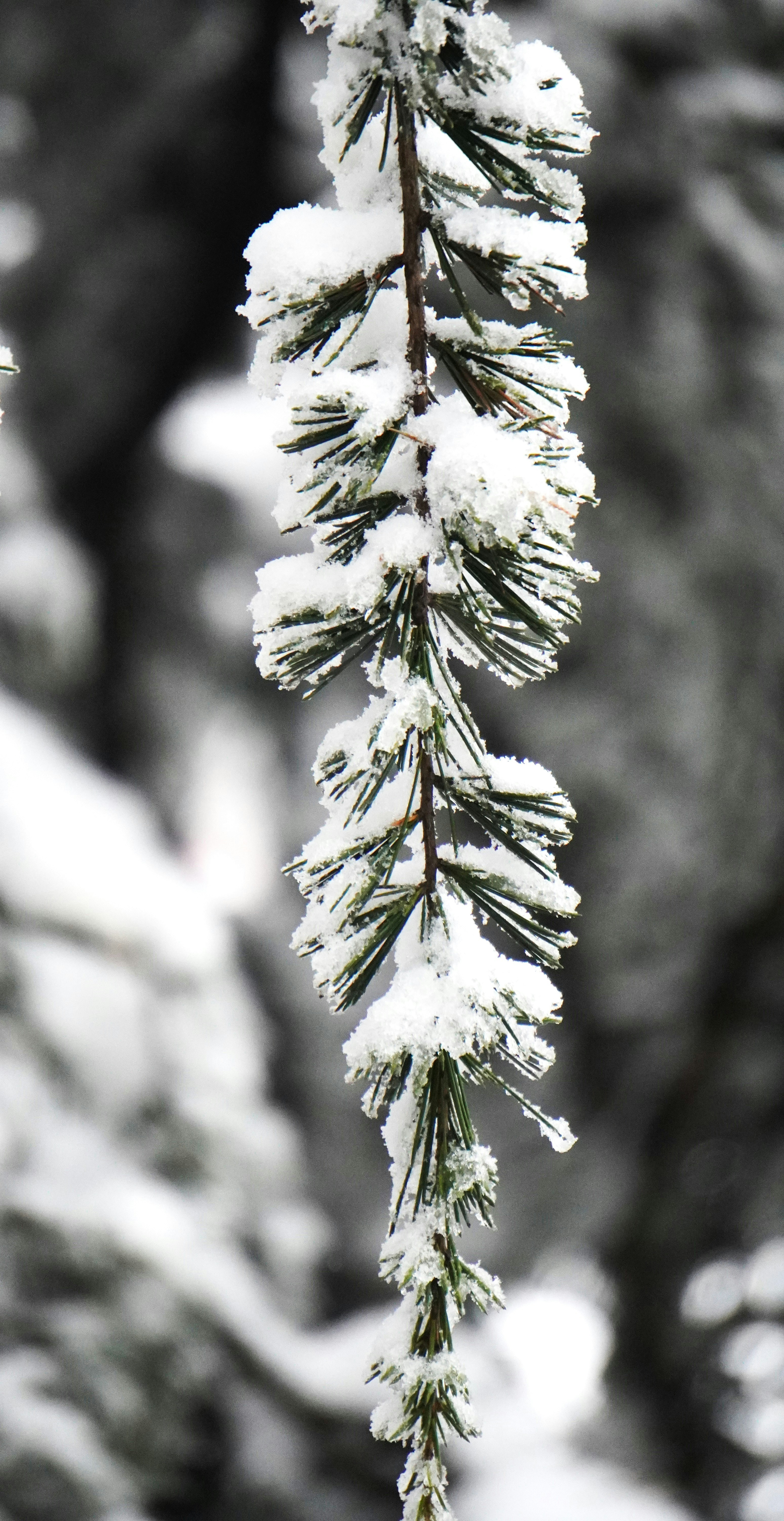 Photo by aditipanatu95