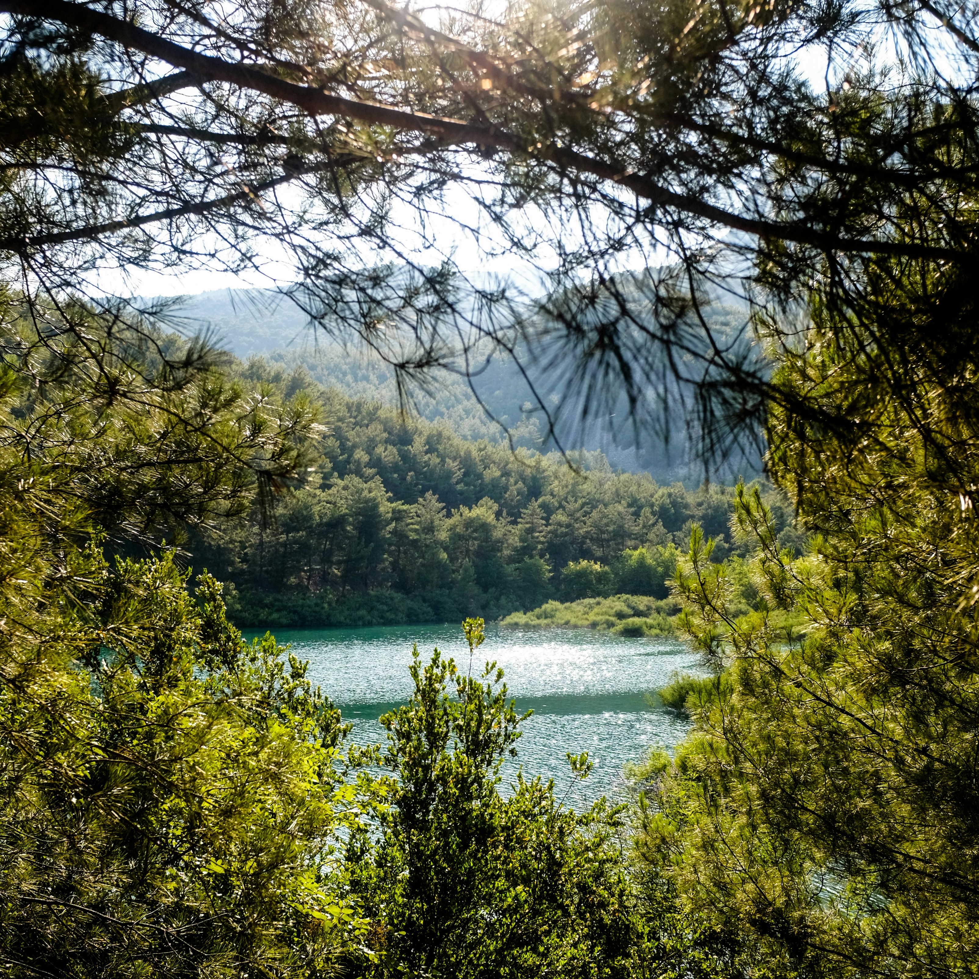 Photo by oldsoulframes