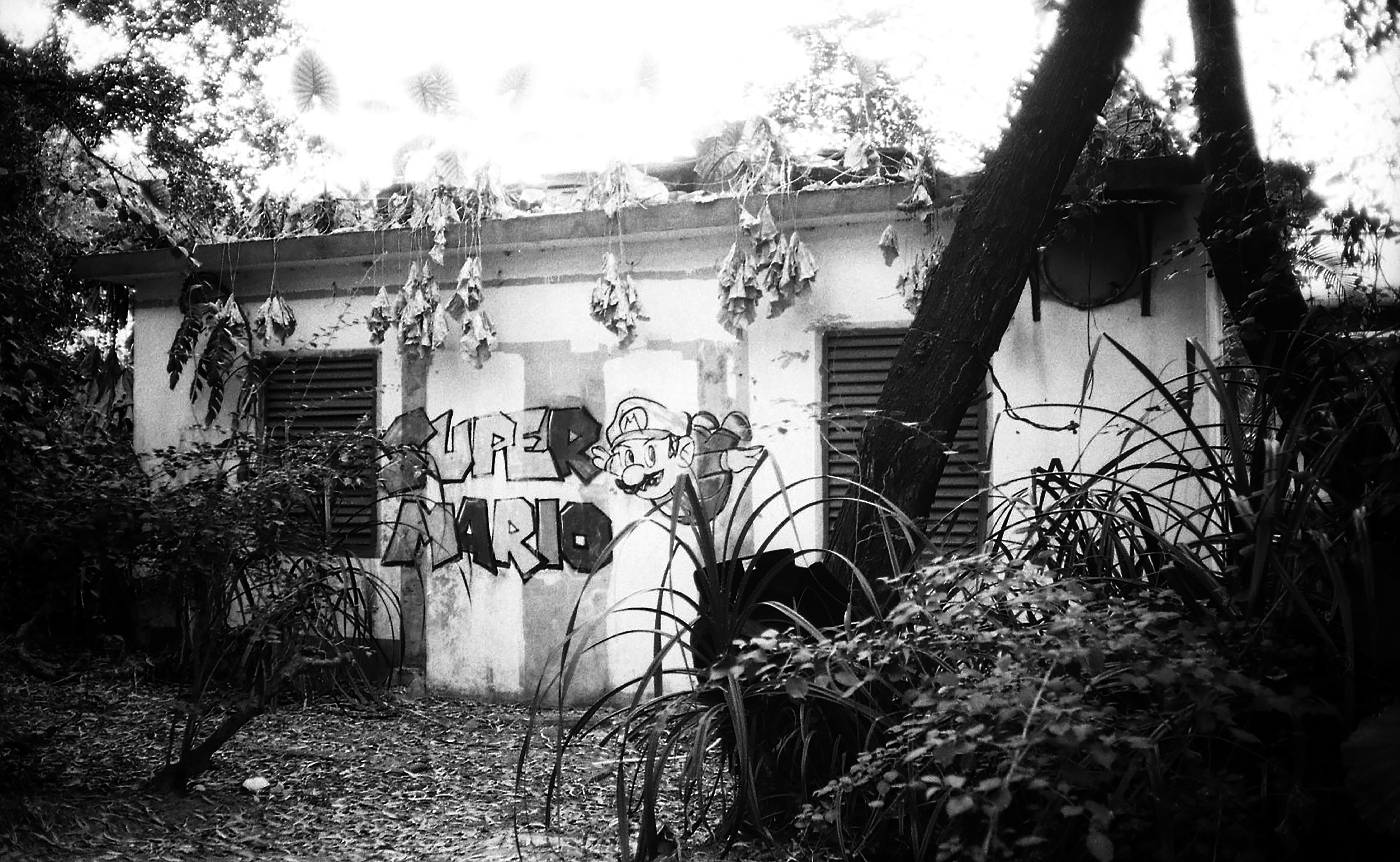 Photo by greedwolf97