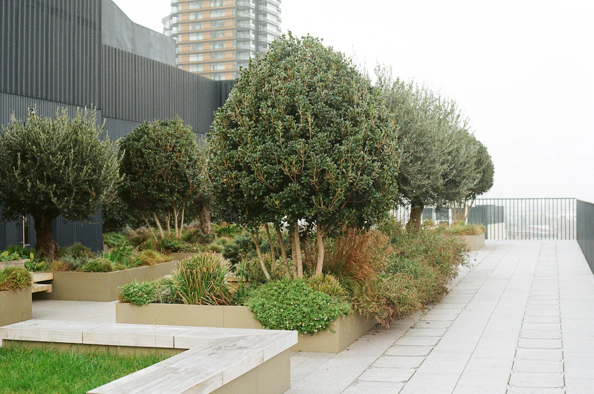 Tuin met beplanting Daktuin met uitzicht met groen en planten
