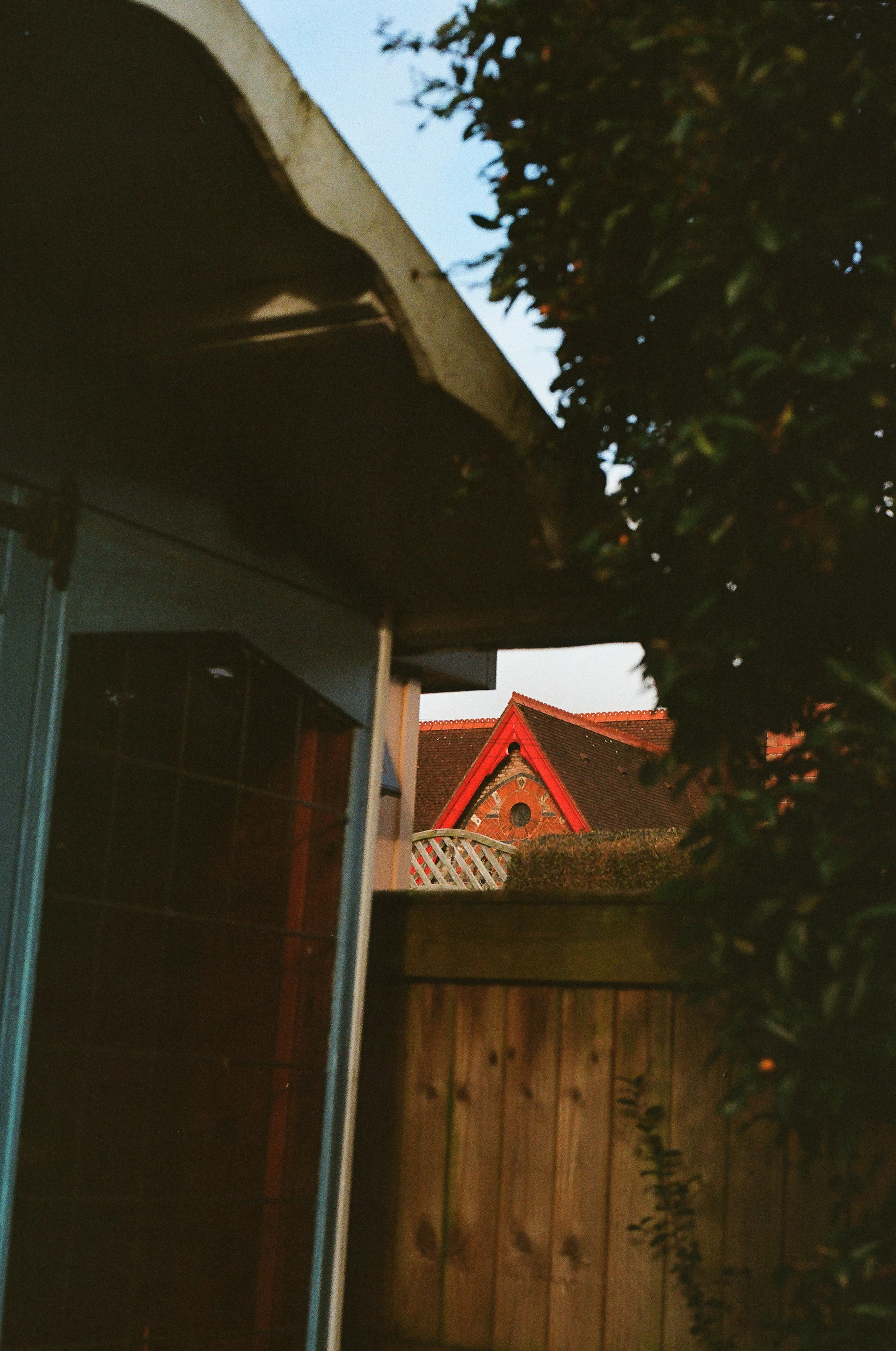 Shed Area Cleanup in Apex, NC