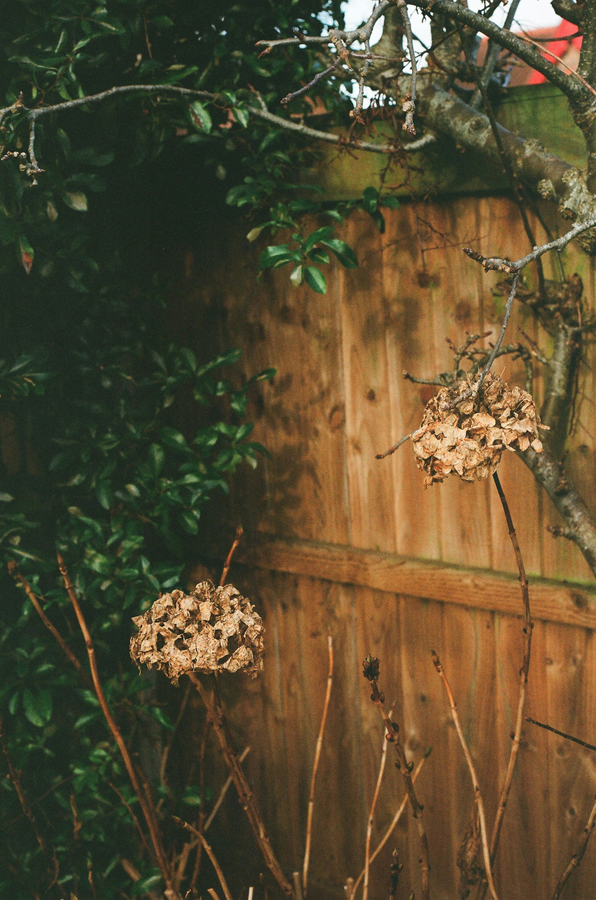 Photo by tanyabarrow