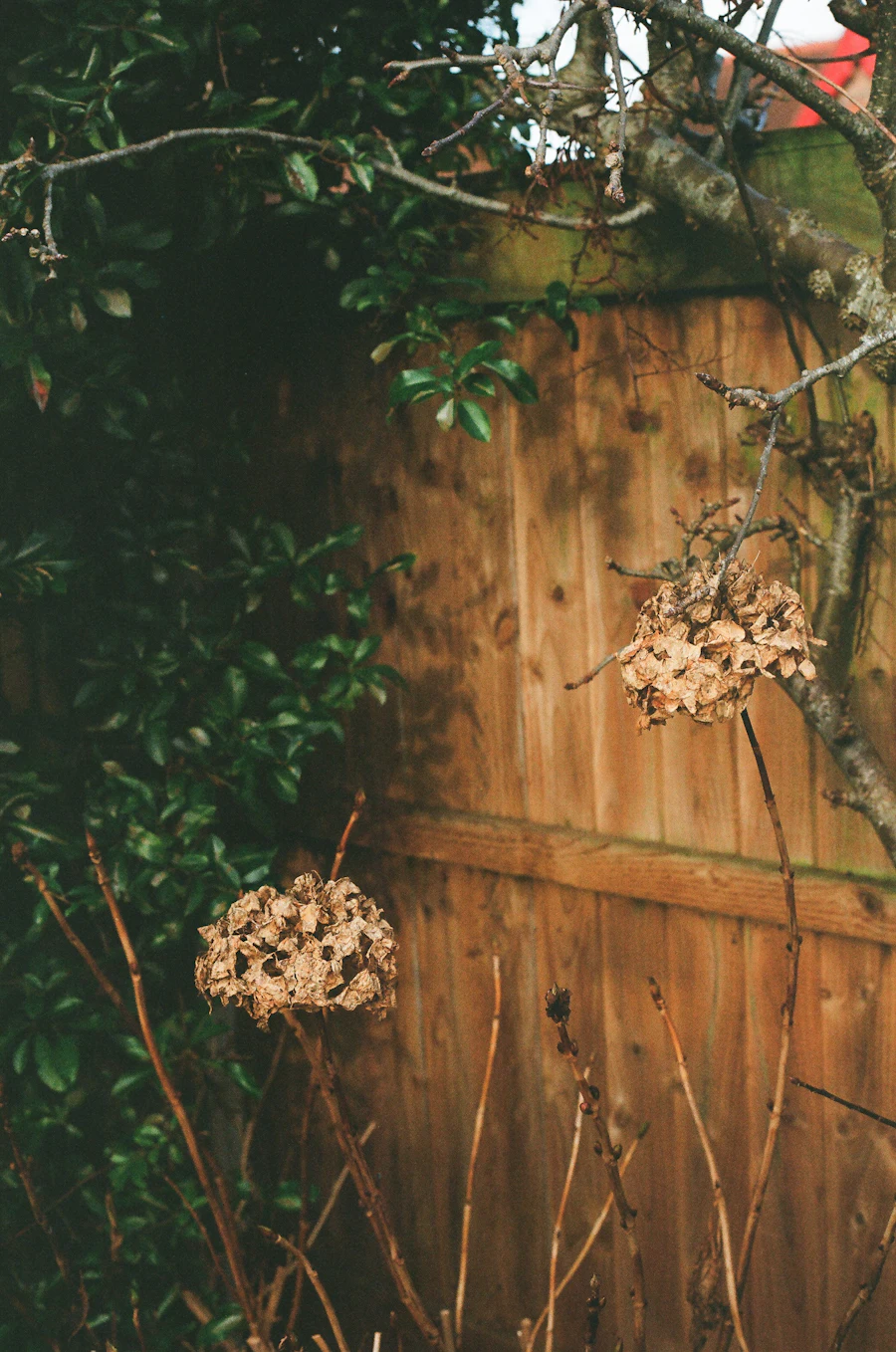 Fence project photo