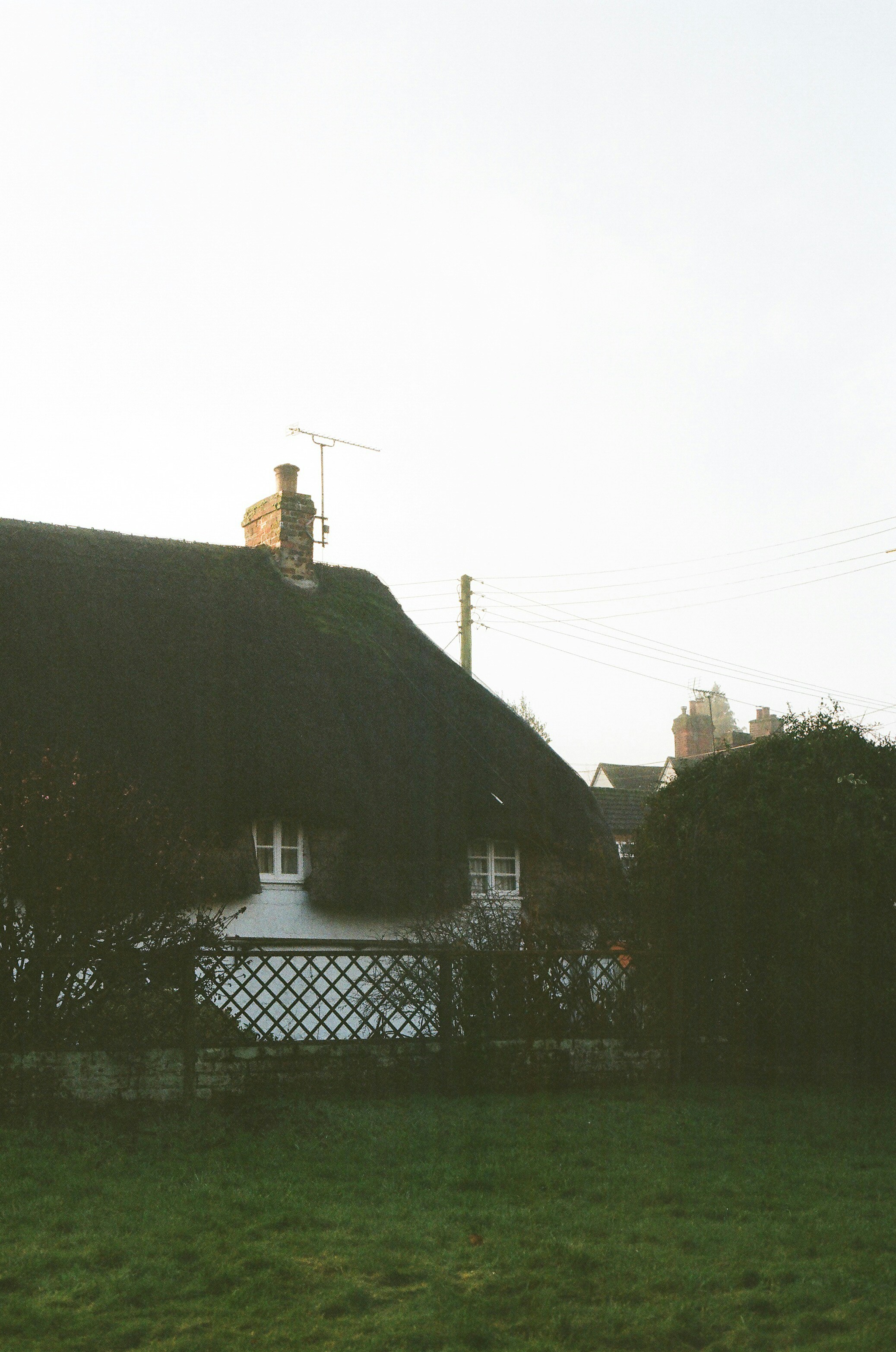 Photo by tanyabarrow