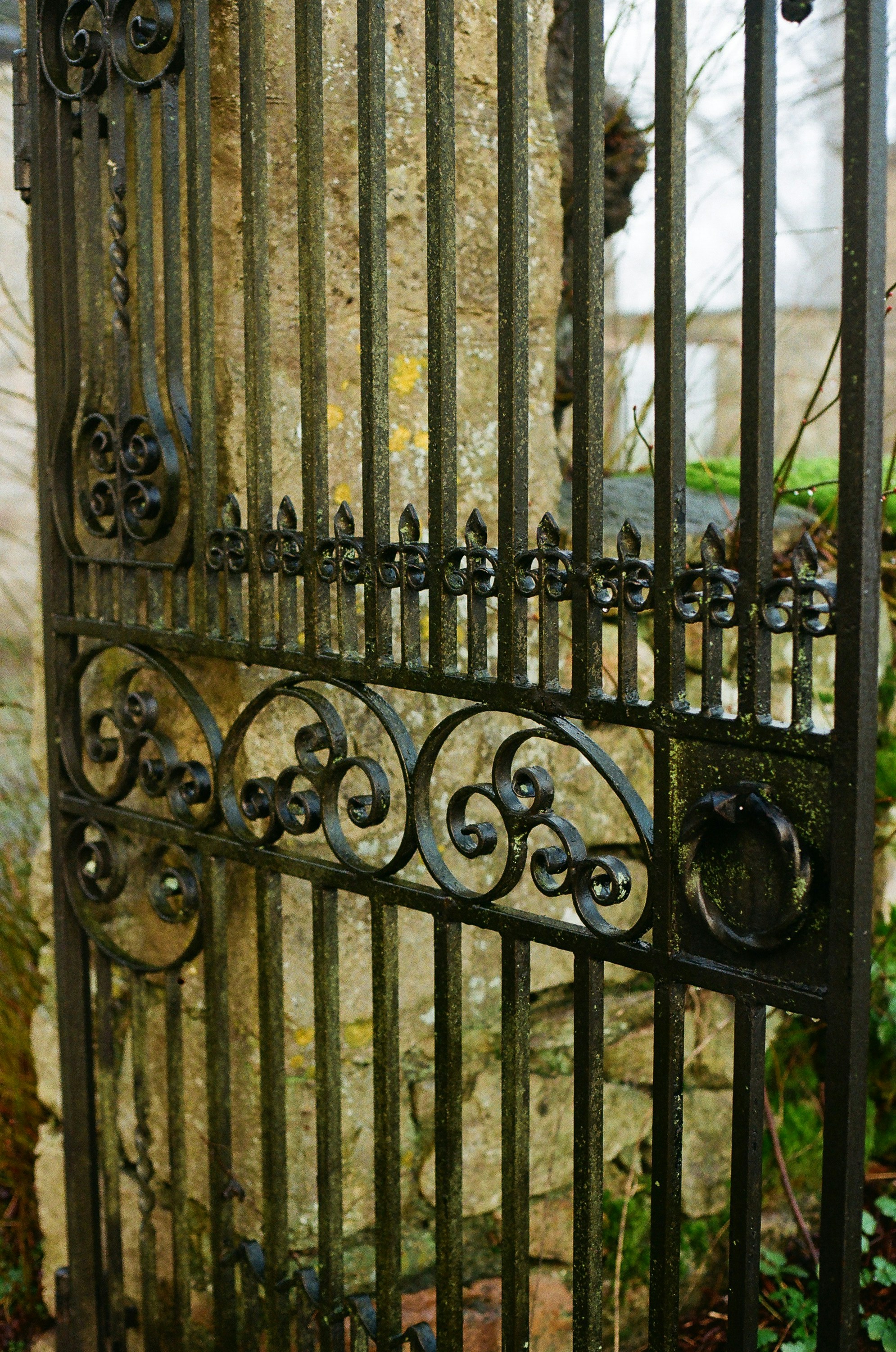 Photo by tanyabarrow